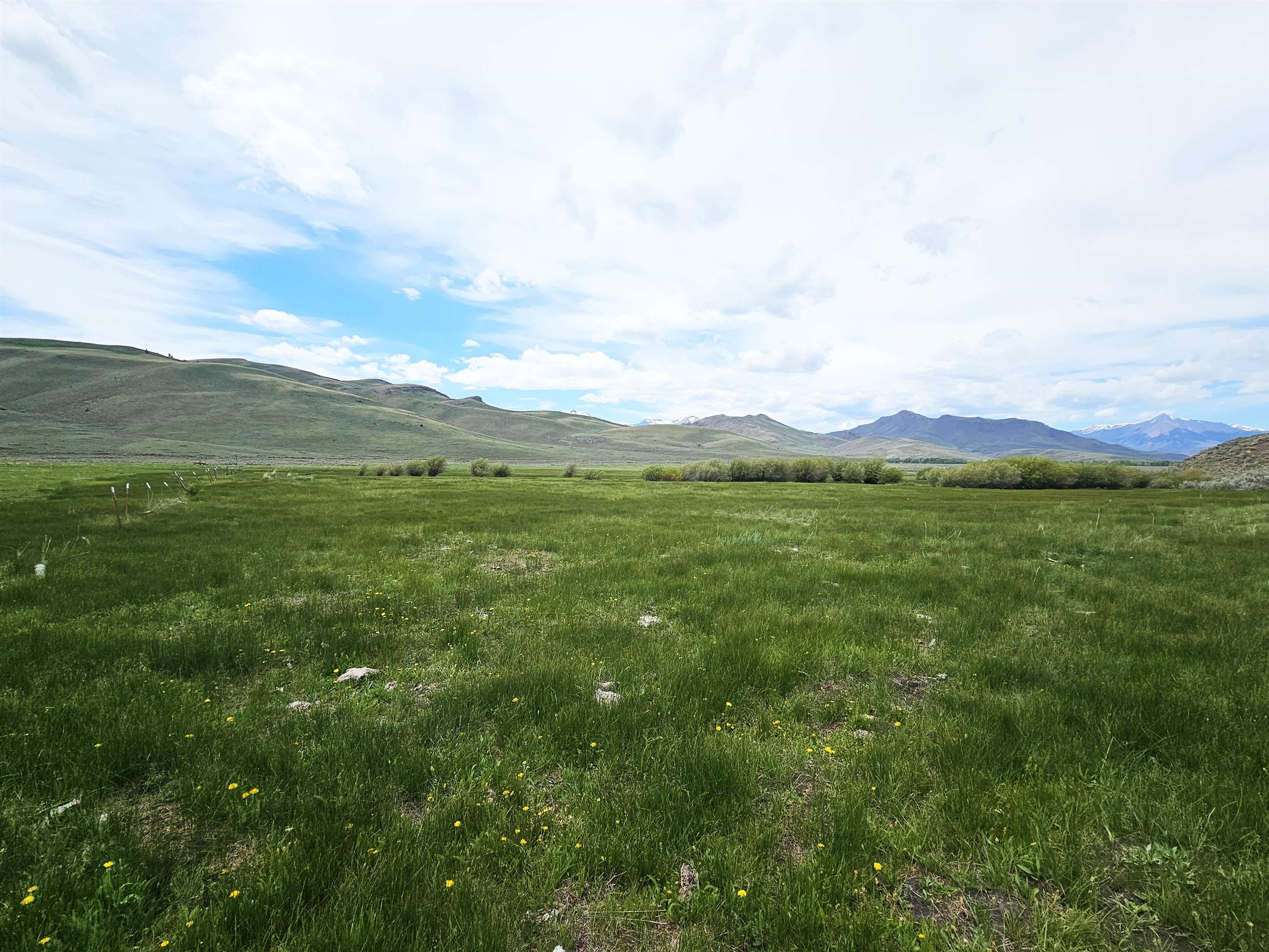 Lot 7 Dry Fork Rd, Moore, Idaho image 21