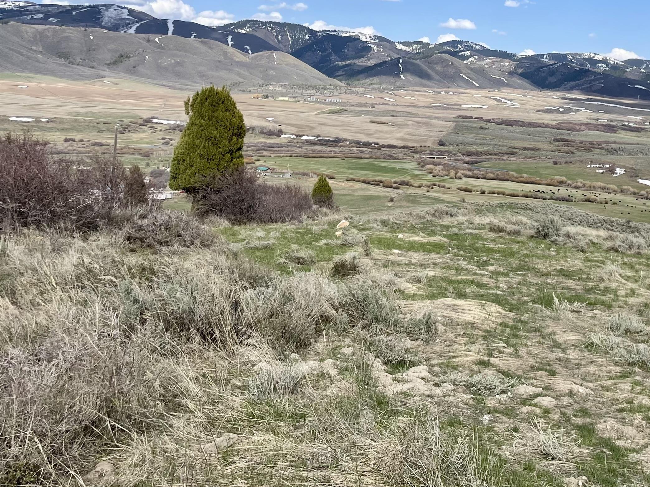 TBD 40 AC Caribou Rd, Soda Springs, Idaho image 3