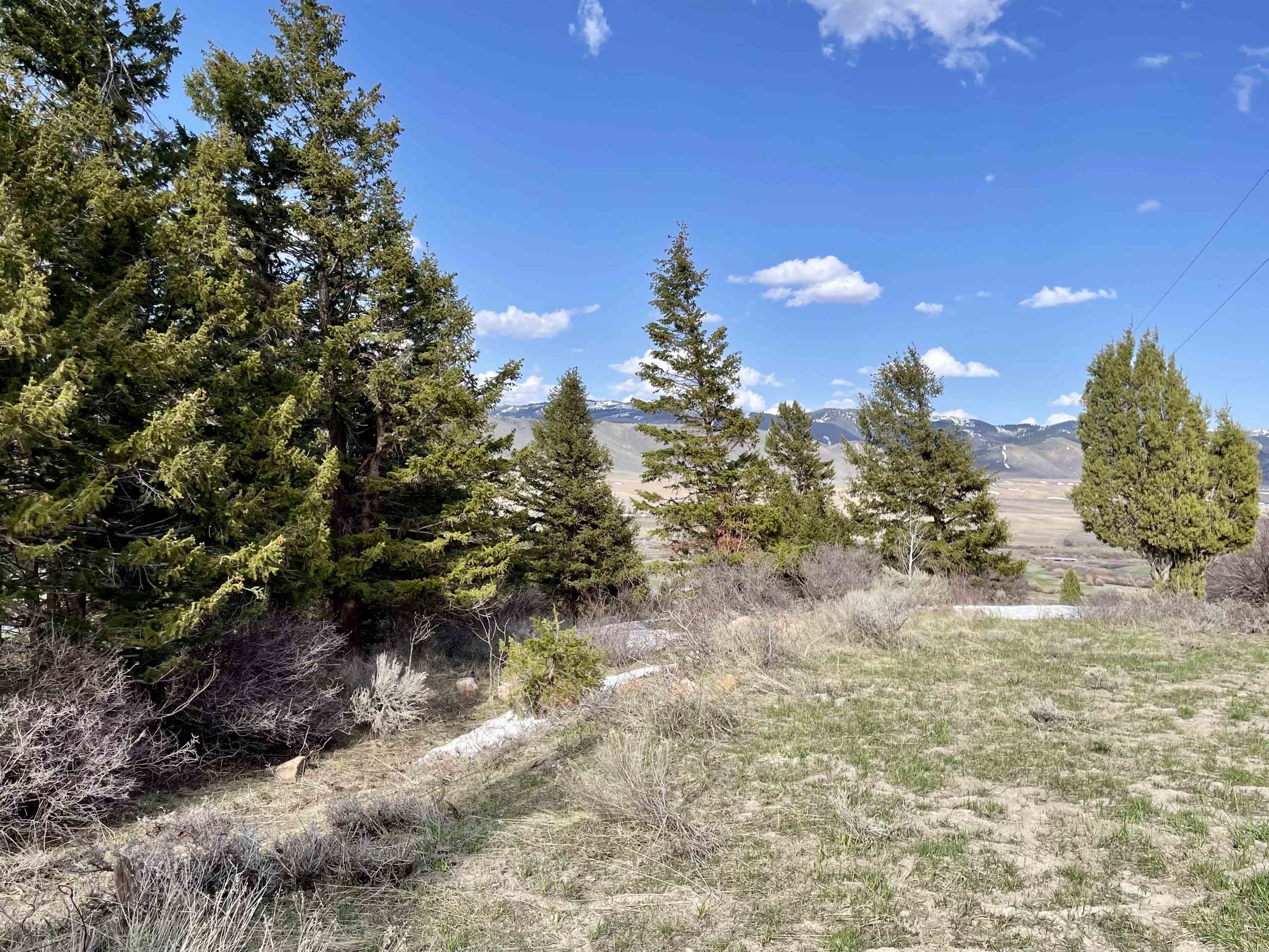 TBD 40 AC Caribou Rd, Soda Springs, Idaho image 4