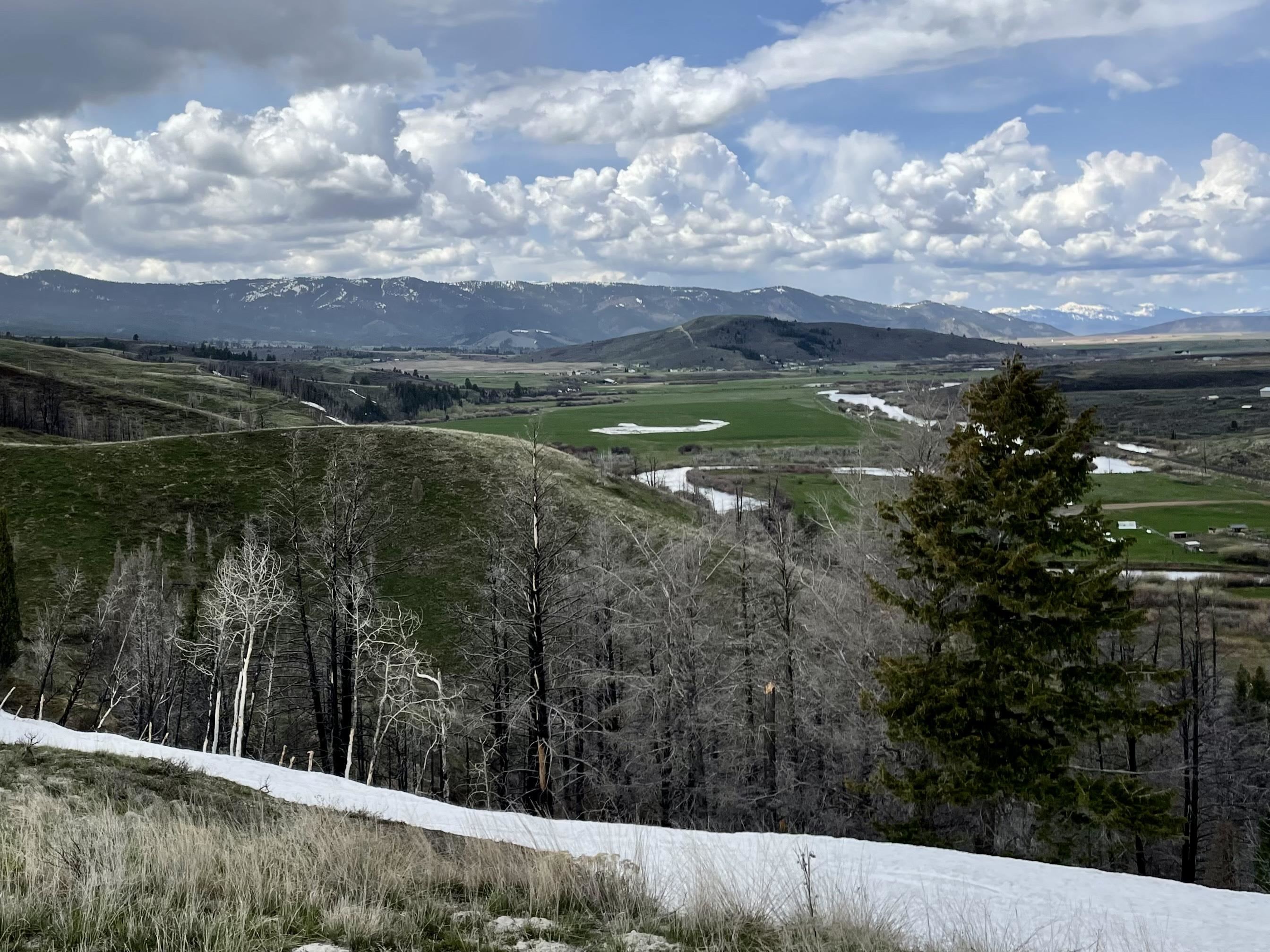TBD 40 AC Caribou Rd, Soda Springs, Idaho image 15