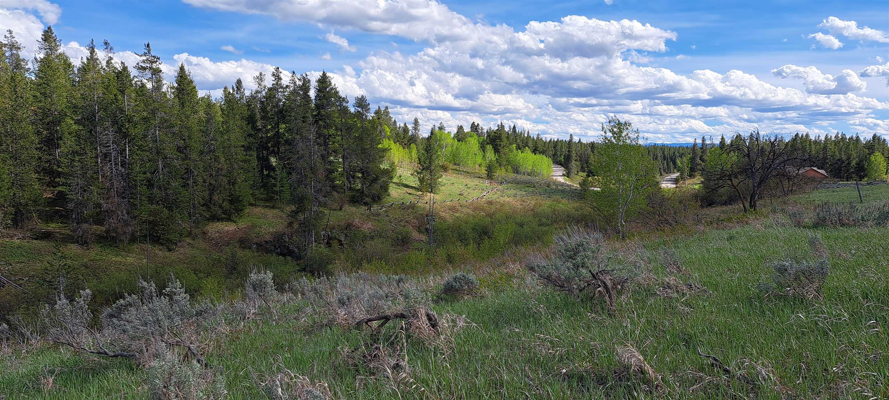 1670 Shadow Loop, Ashton, Idaho image 3