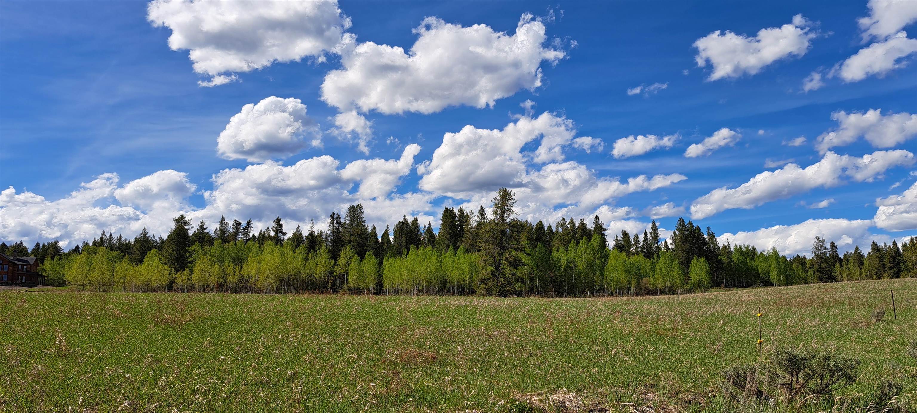 1670 Shadow Loop, Ashton, Idaho image 11