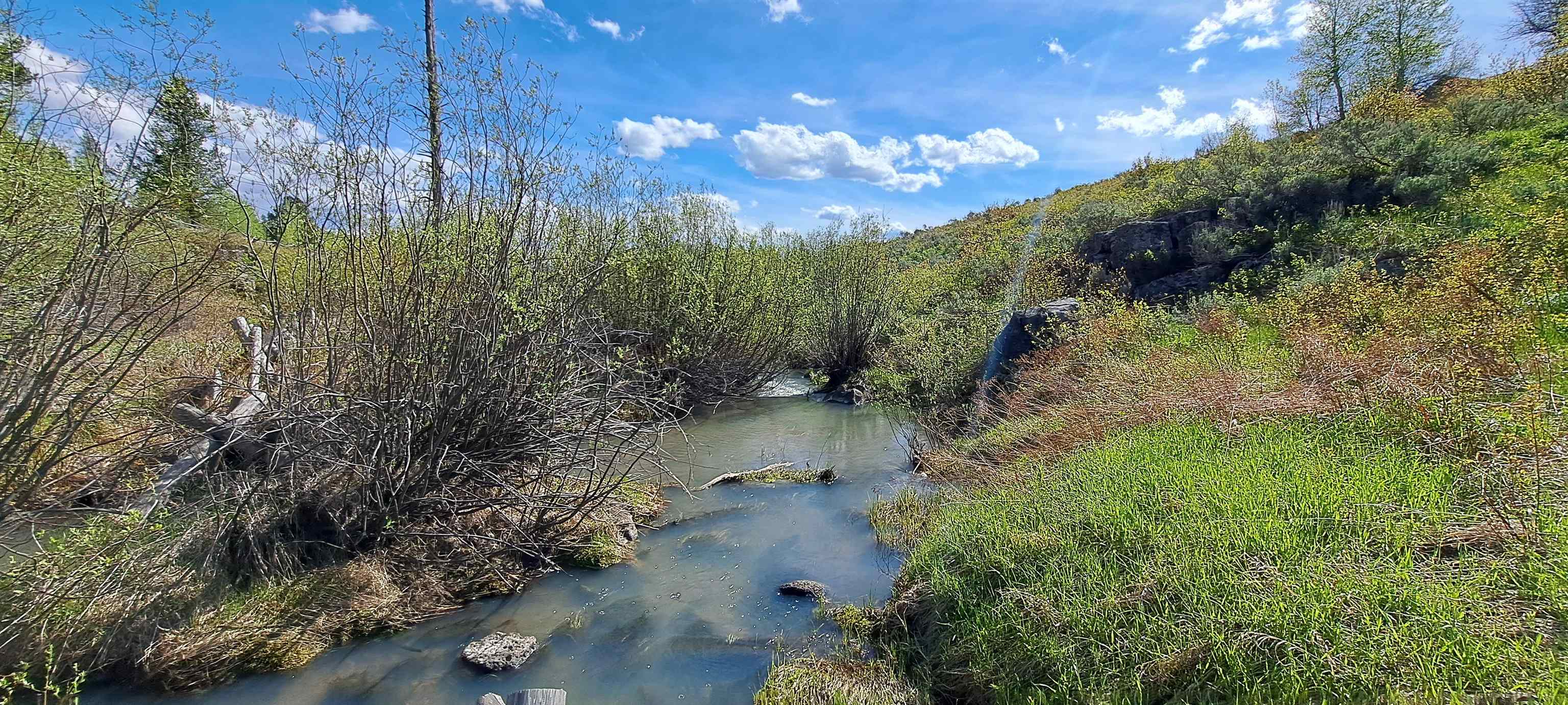 1670 Shadow Loop, Ashton, Idaho image 8