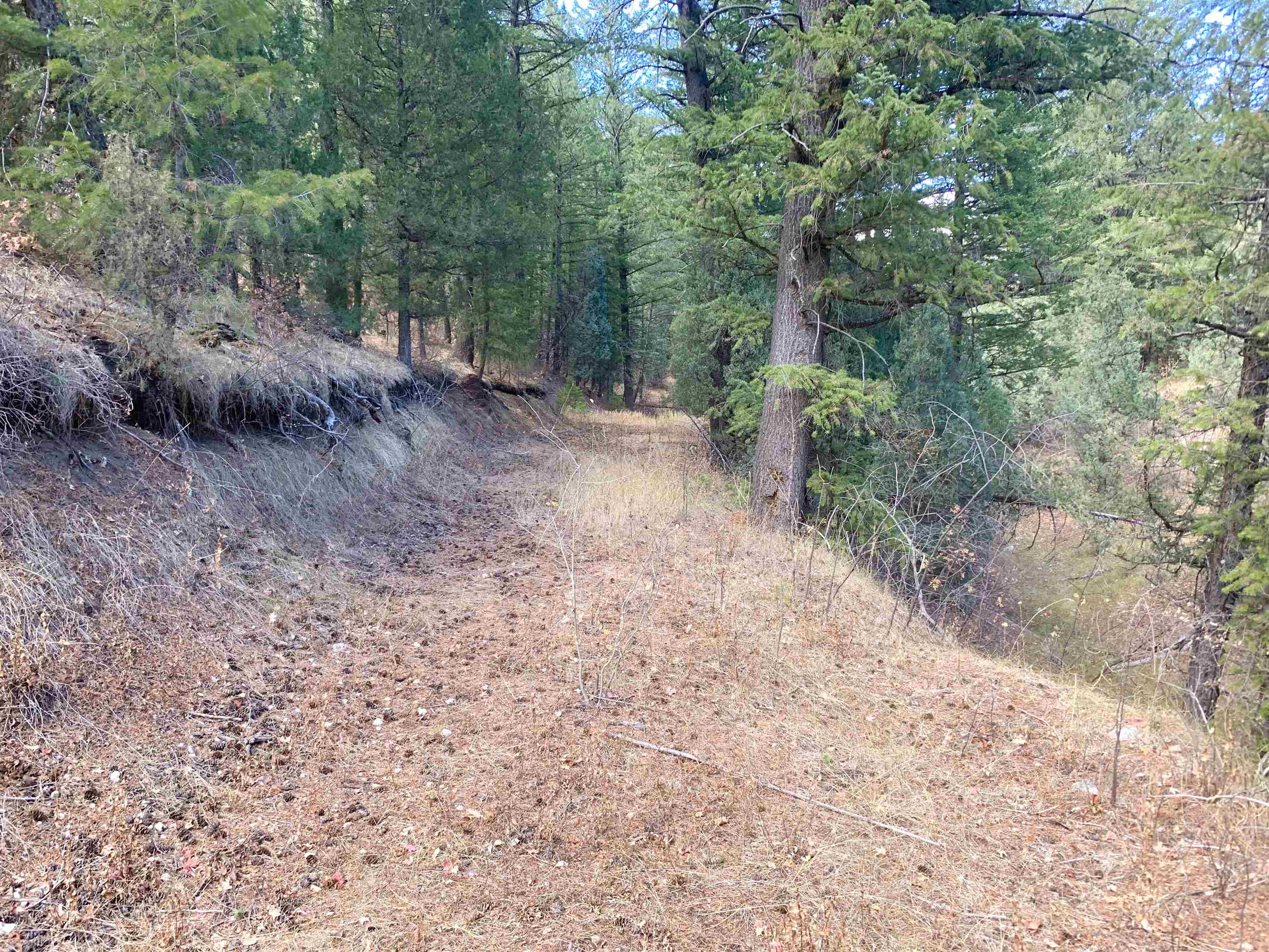 Lot 1 Pine Drive, Lava Hot Springs, Idaho image 44