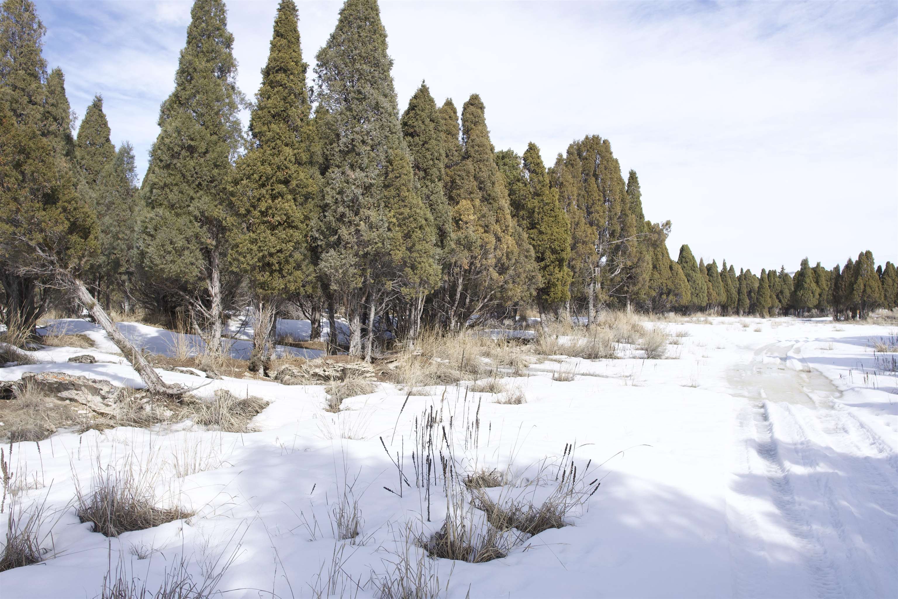 TBD Pioneer Dr, Soda Springs, Idaho image 15
