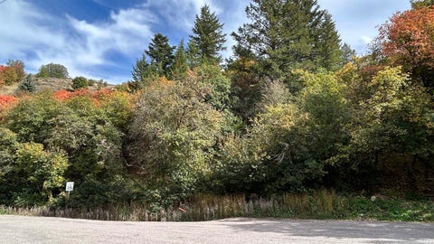 Photo of 17 N Maple Grove, Pocatello, ID 83201 (MLS # 583660)