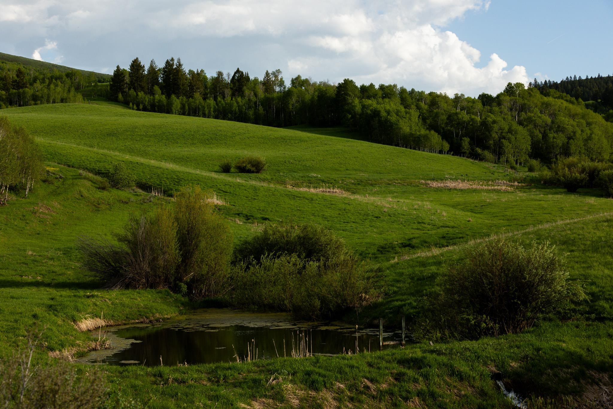 6240 N Rapid Creek, Inkom, Idaho image 49