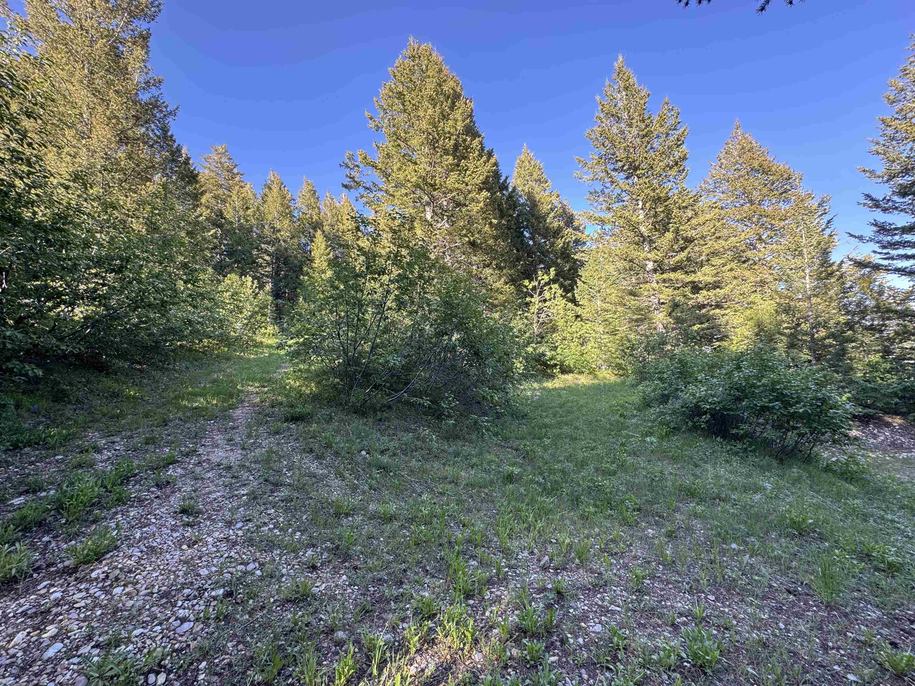 TBD Whitetail Circle, Lava Hot Springs, Idaho image 9