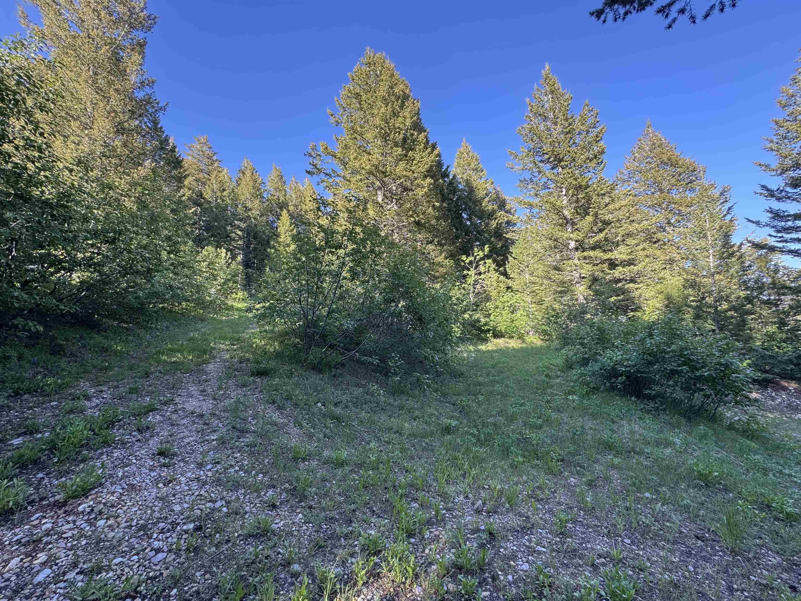 TBD Whitetail Circle, Lava Hot Springs, Idaho image 7