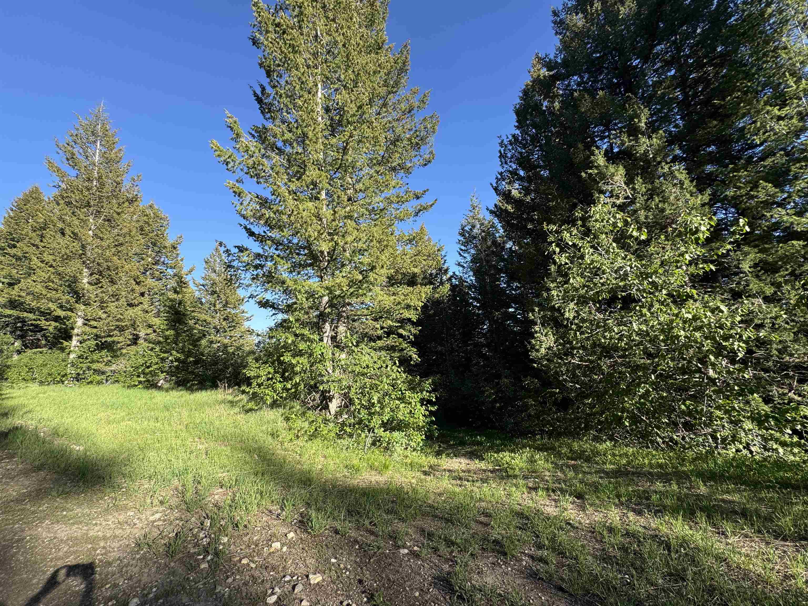 TBD Whitetail Circle, Lava Hot Springs, Idaho image 16
