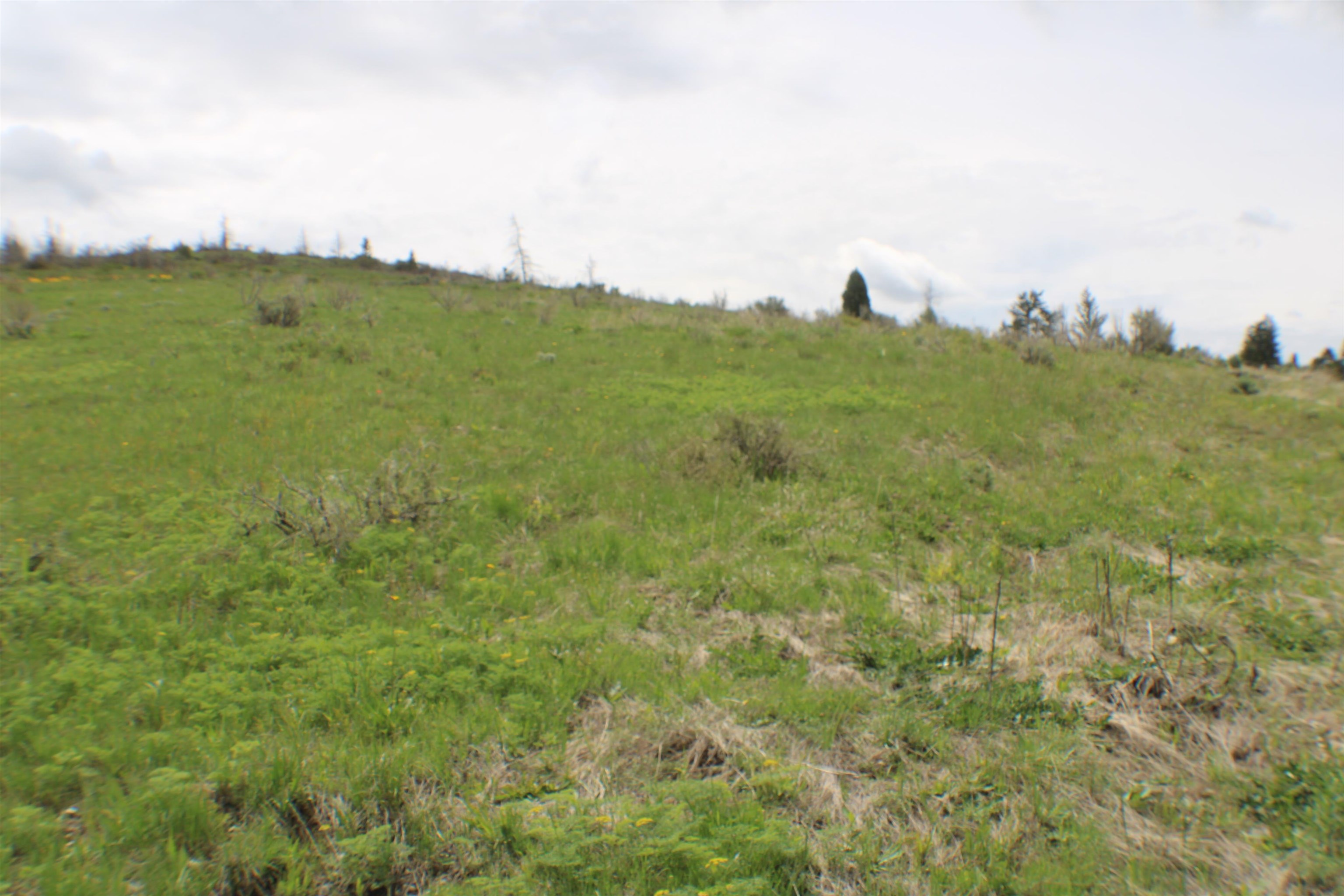 0042 Caribou Village Subdivision, Phase 1, Block 2, #LOT 42 CARIBOU ROAD, Soda Springs, Idaho image 9