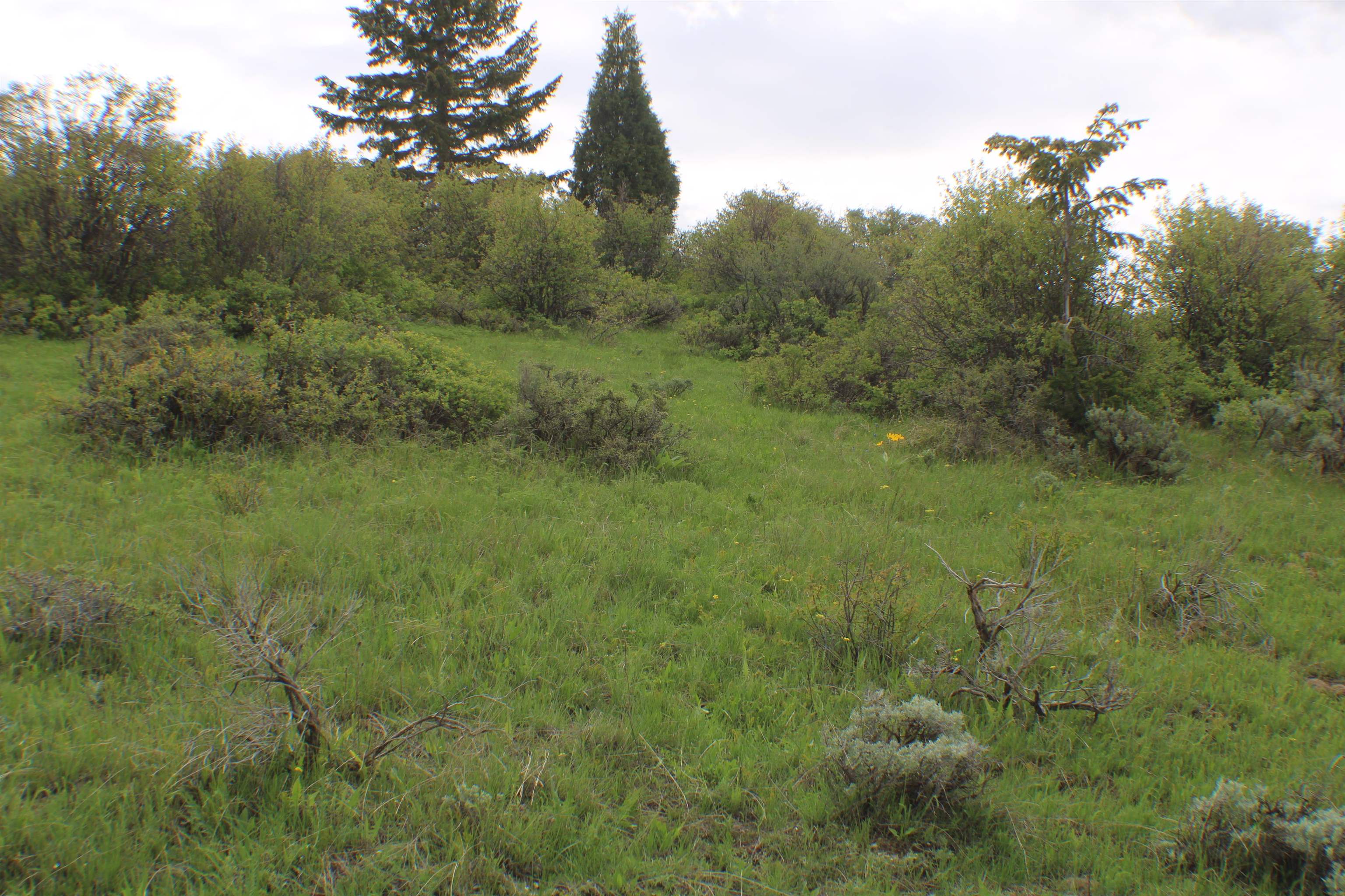 0042 Caribou Village Subdivision, Phase 1, Block 2, #LOT 42 CARIBOU ROAD, Soda Springs, Idaho image 8