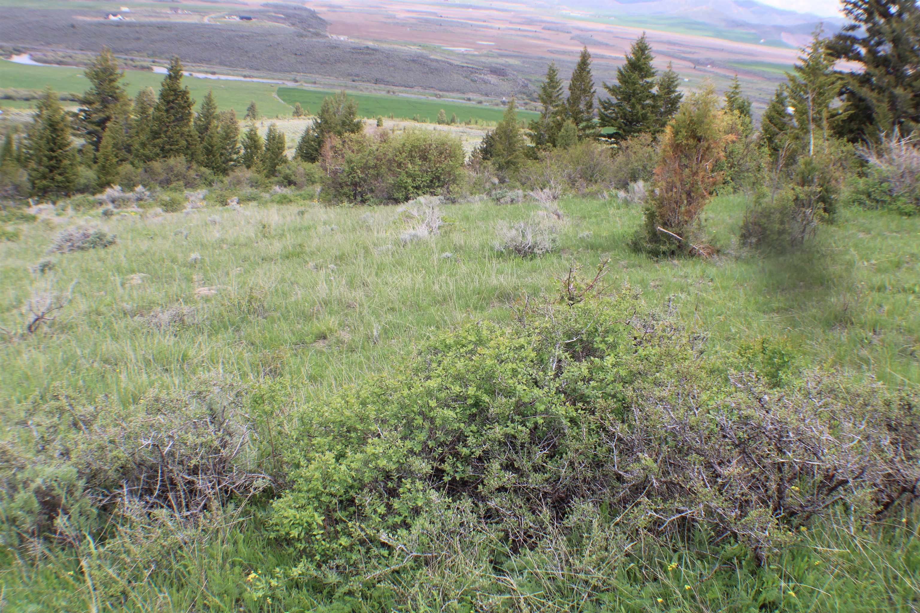 0042 Caribou Village Subdivision, Phase 1, Block 2, #LOT 42 CARIBOU ROAD, Soda Springs, Idaho image 6