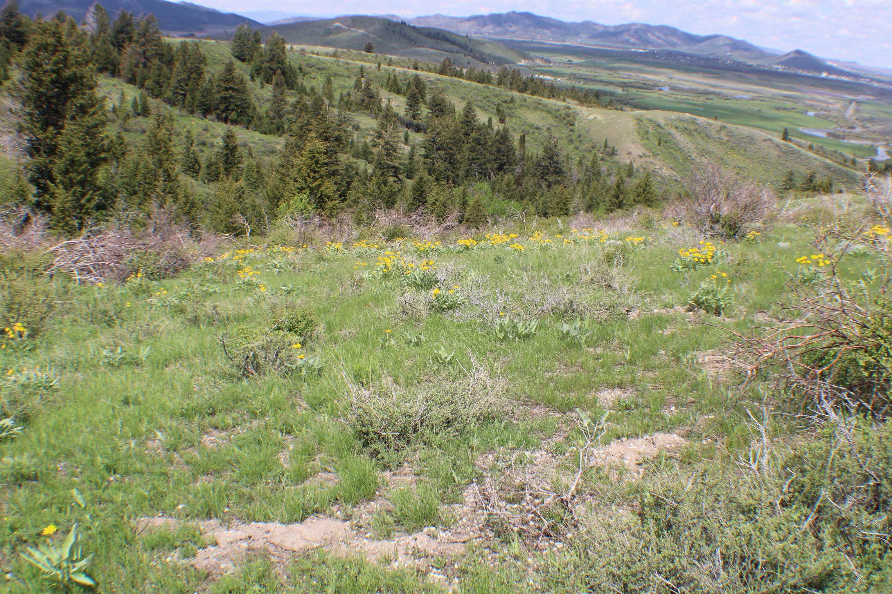 0042 Caribou Village Subdivision, Phase 1, Block 2, #LOT 42 CARIBOU ROAD, Soda Springs, Idaho image 4