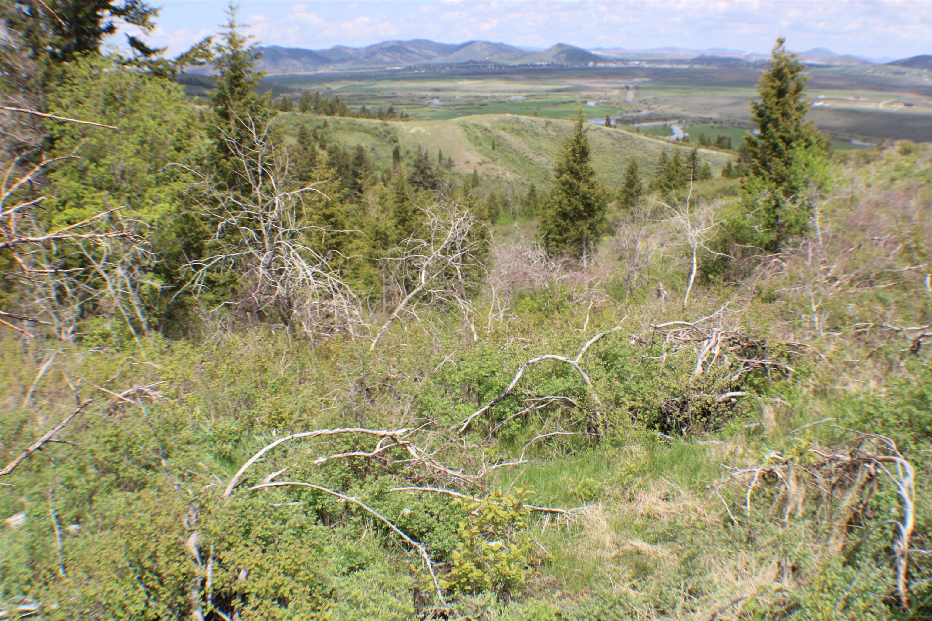 0042 Caribou Village Subdivision, Phase 1, Block 2, #LOT 42 CARIBOU ROAD, Soda Springs, Idaho image 5