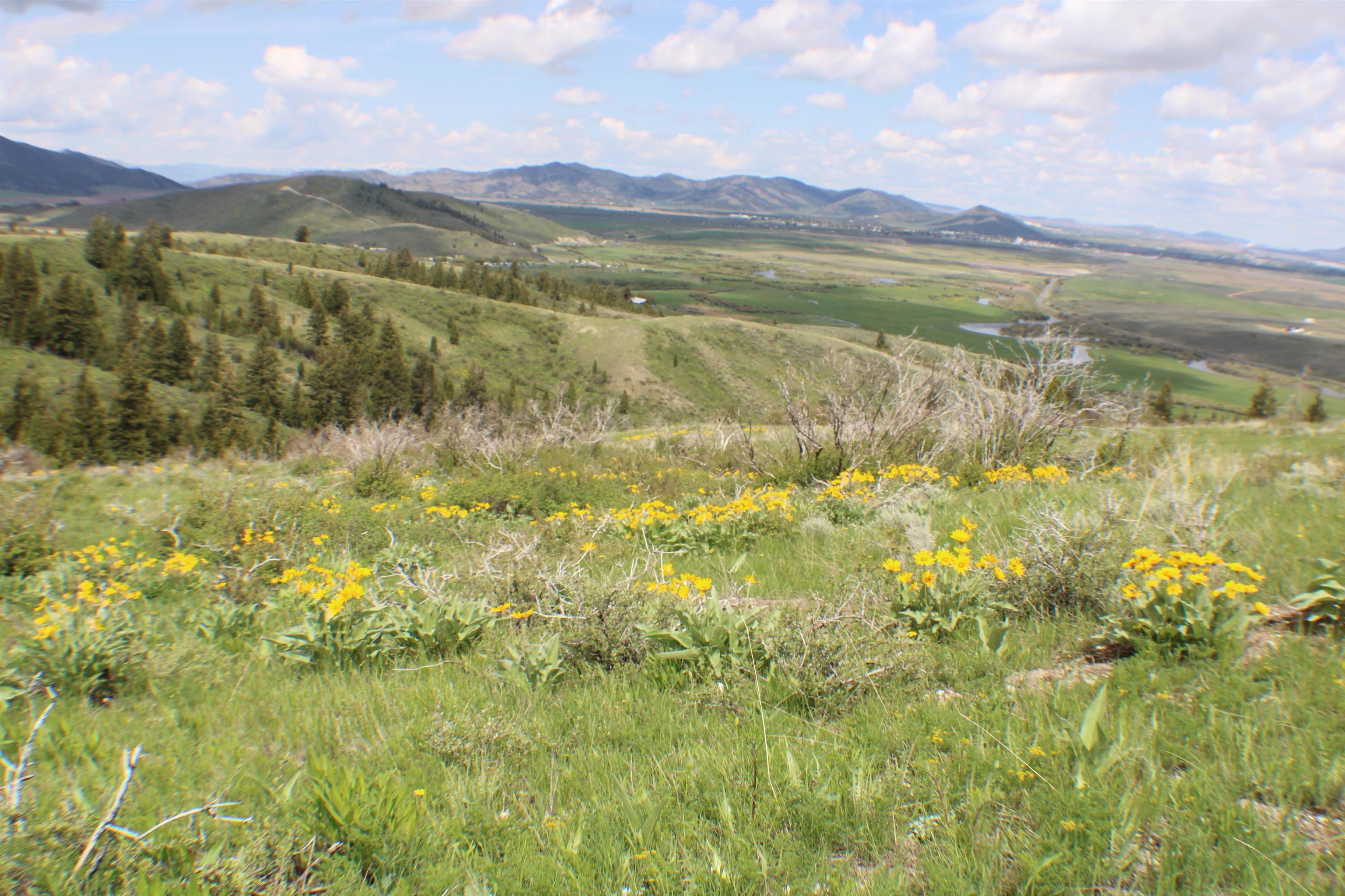 0042 Caribou Village Subdivision, Phase 1, Block 2, #LOT 42 CARIBOU ROAD, Soda Springs, Idaho image 3