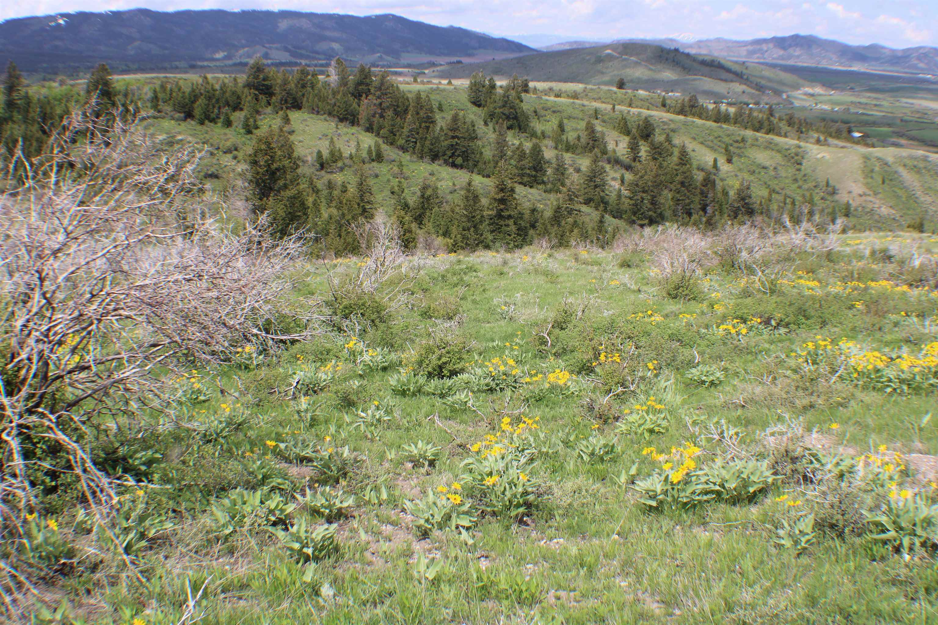 0042 Caribou Village Subdivision, Phase 1, Block 2, #LOT 42 CARIBOU ROAD, Soda Springs, Idaho image 2