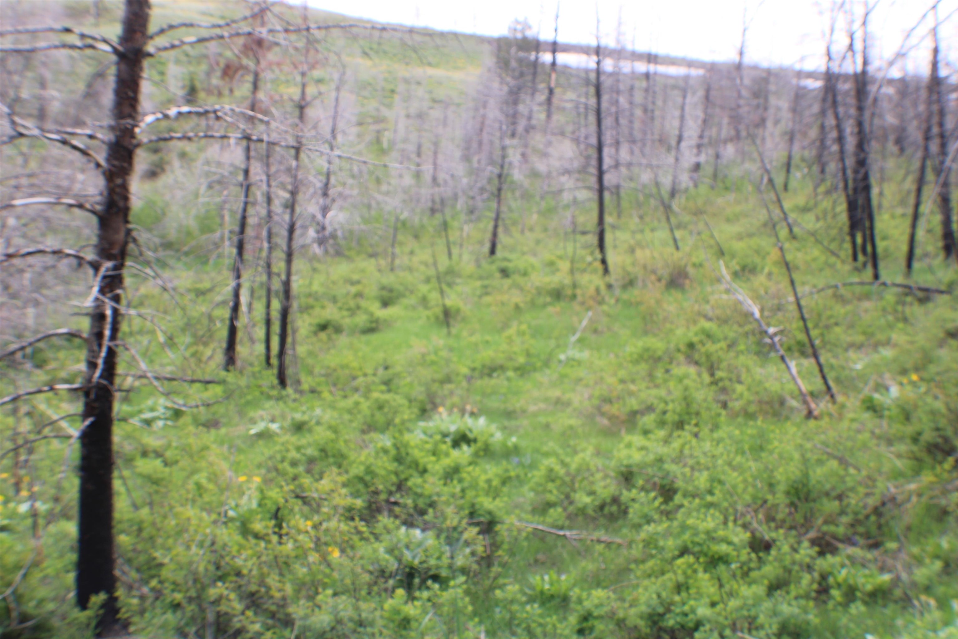 0042 Caribou Village Subdivision, Phase 1, Block 2, #LOT 42 CARIBOU ROAD, Soda Springs, Idaho image 10