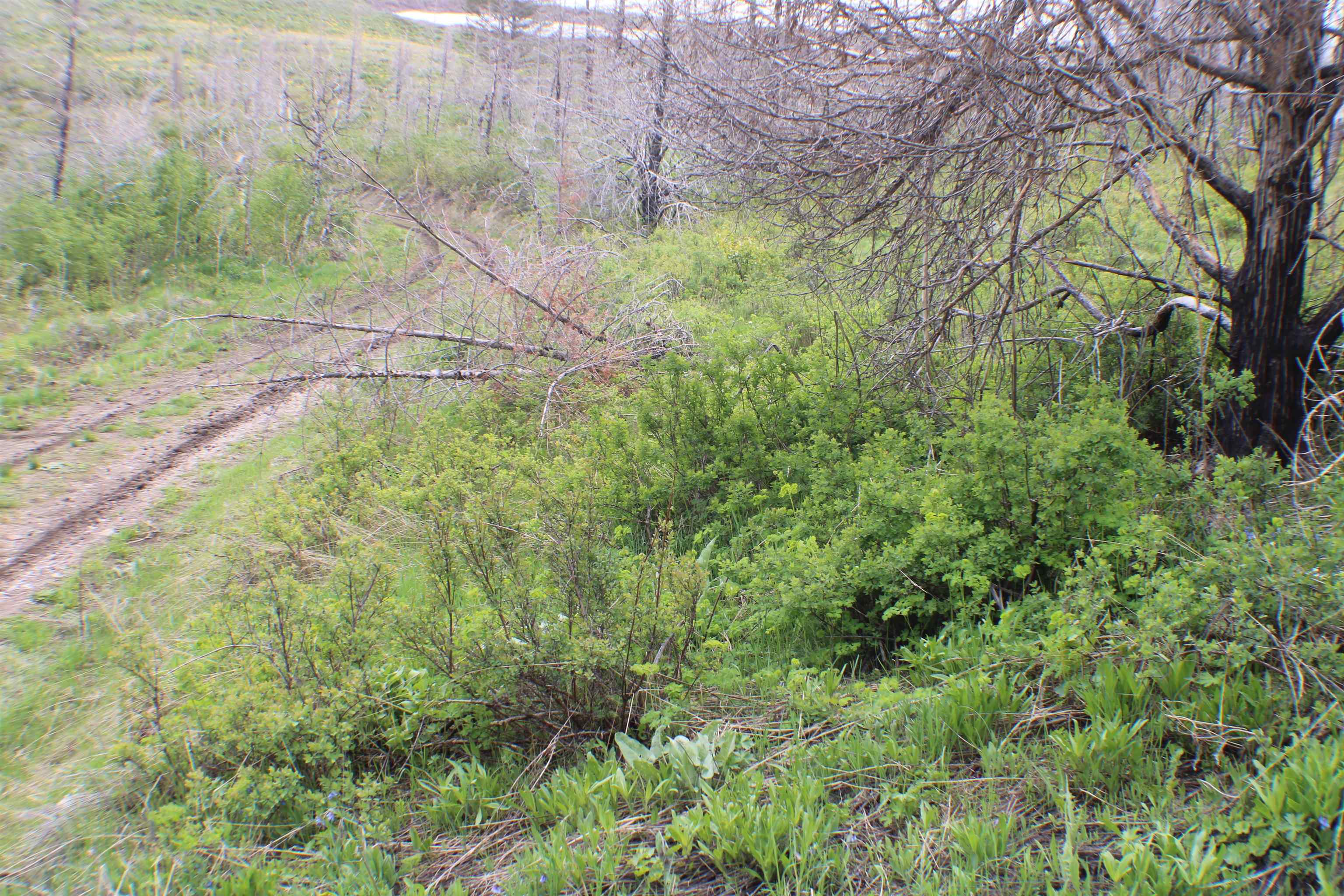 0042 Caribou Village Subdivision, Phase 1, Block 2, #LOT 42 CARIBOU ROAD, Soda Springs, Idaho image 11