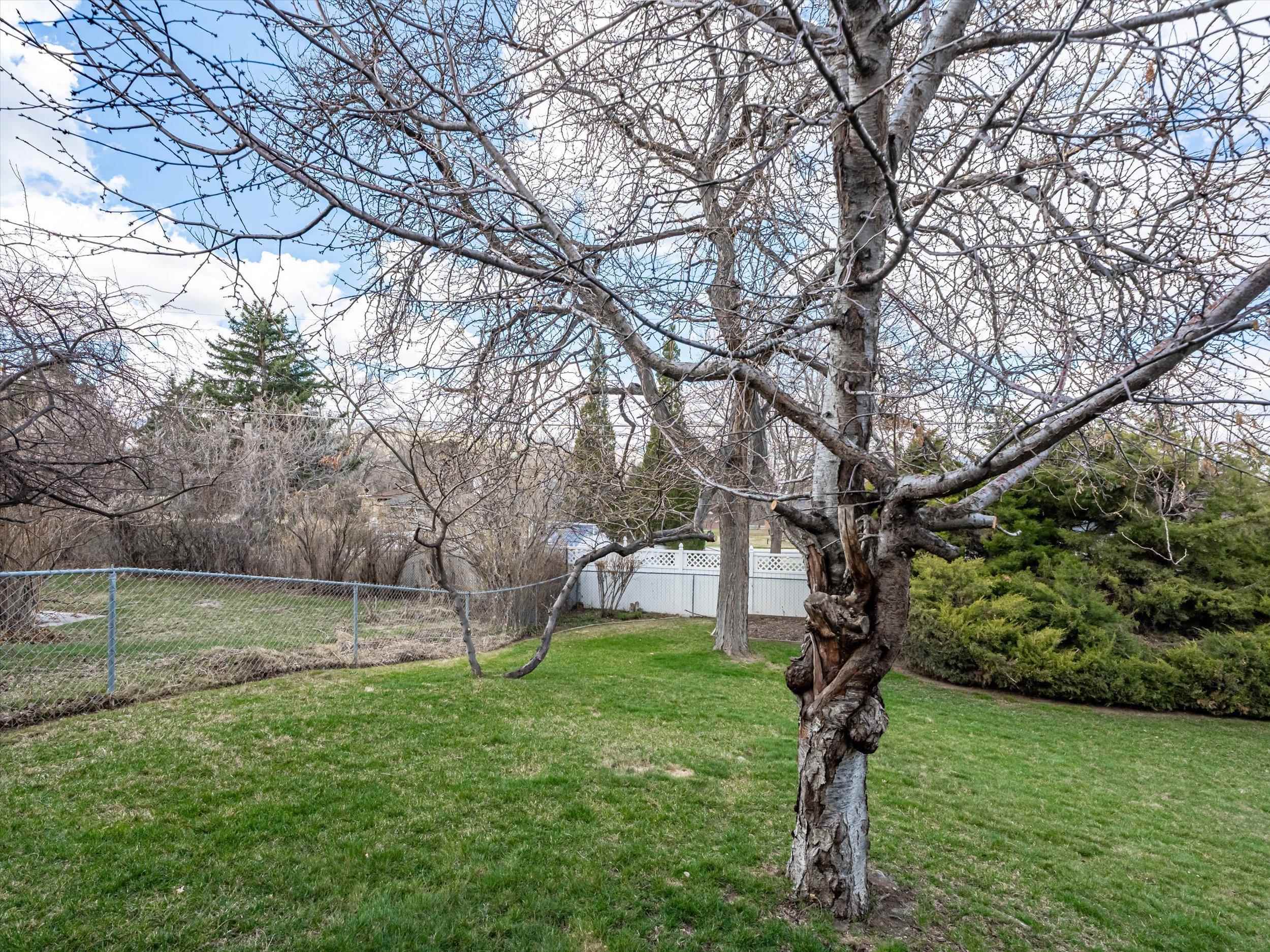 35 Tulane Ave, Pocatello, Idaho image 33