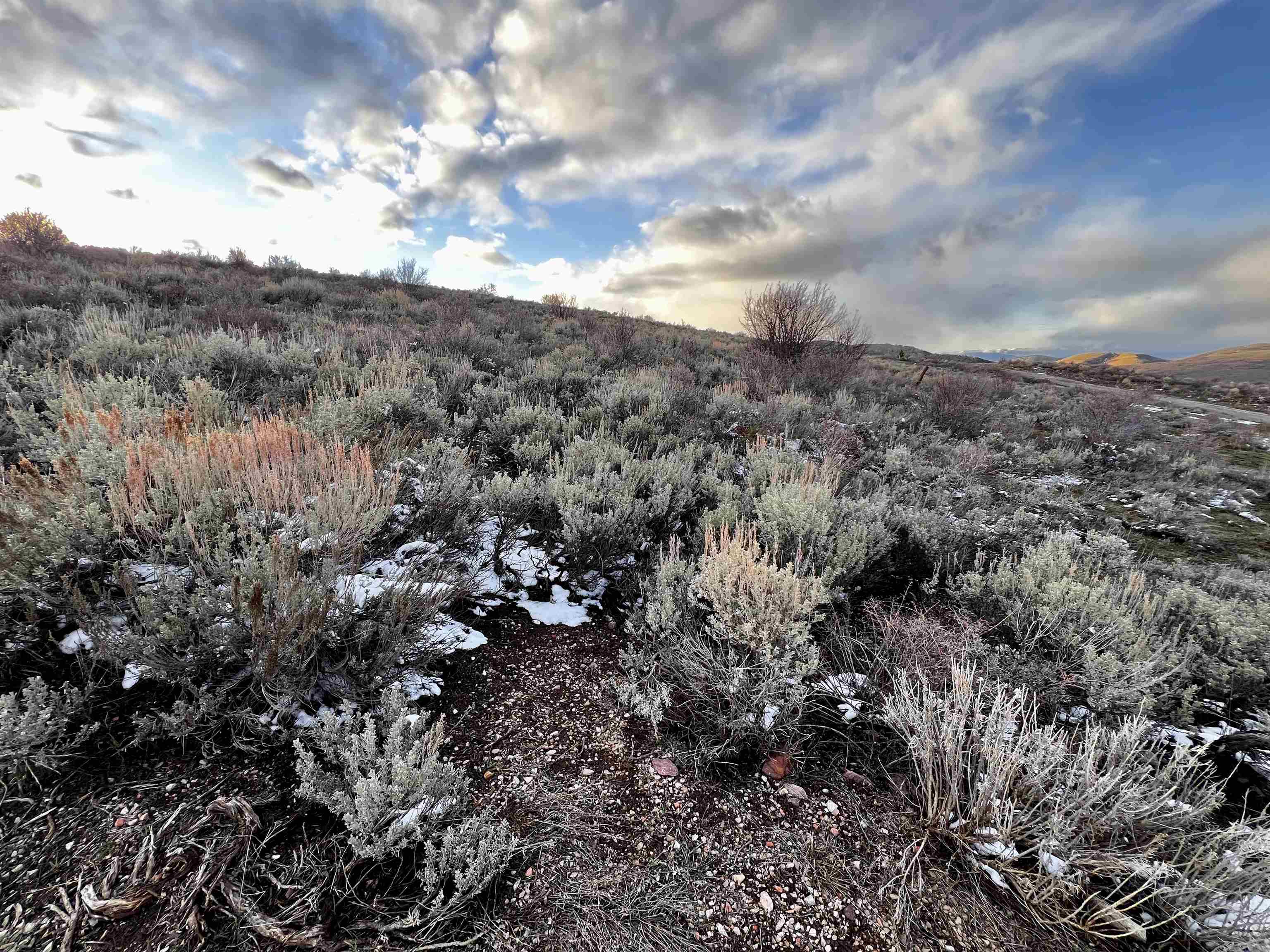 1 Jacobs Canyon Road, Saint Charles, Idaho image 16