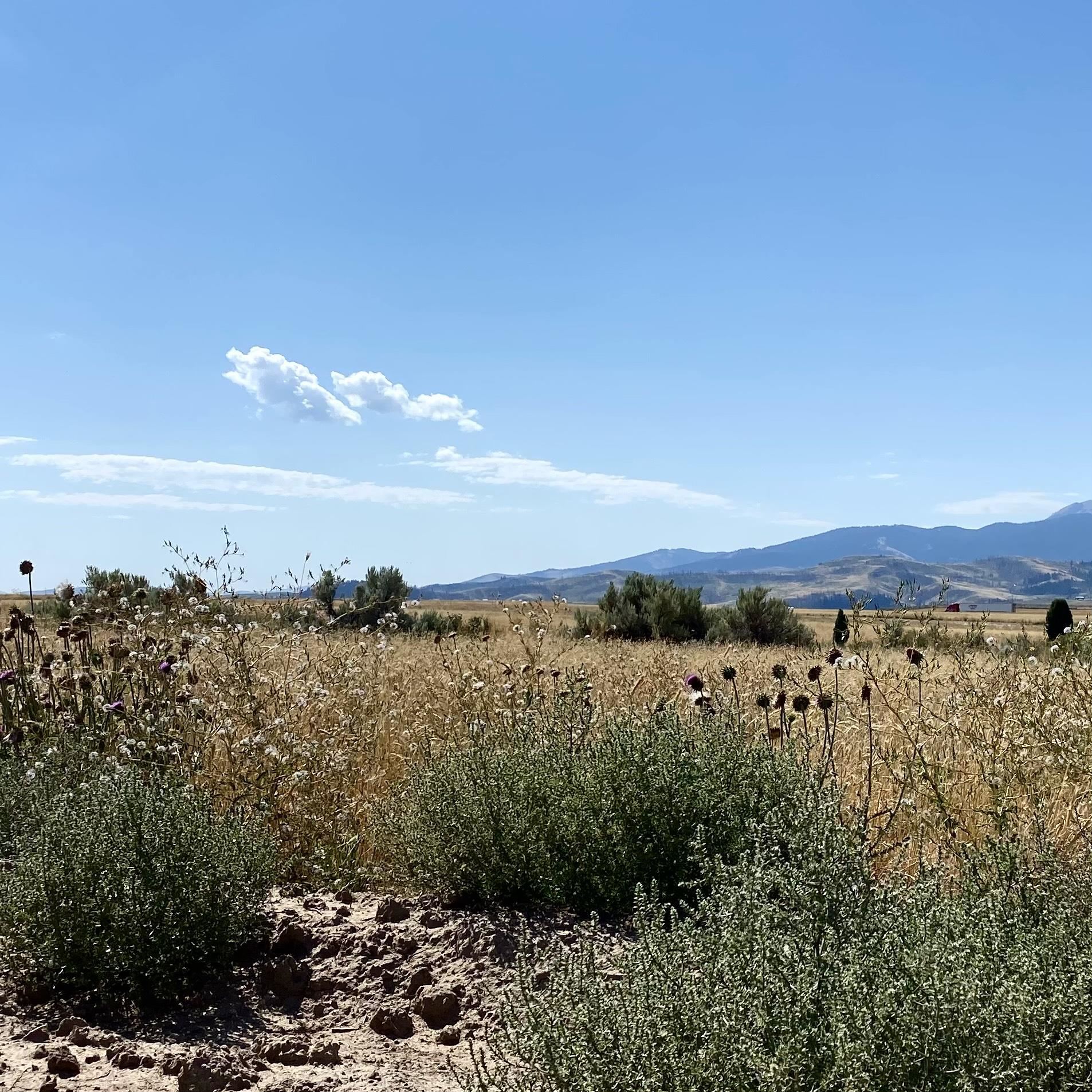 TBD Lakey Loop Lot 26, Soda Springs, Idaho image 18