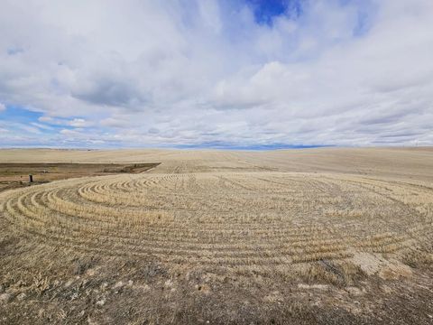 Vacant Land For Sale - TBD Moonlight Lane<br/> American Falls, ID 83211