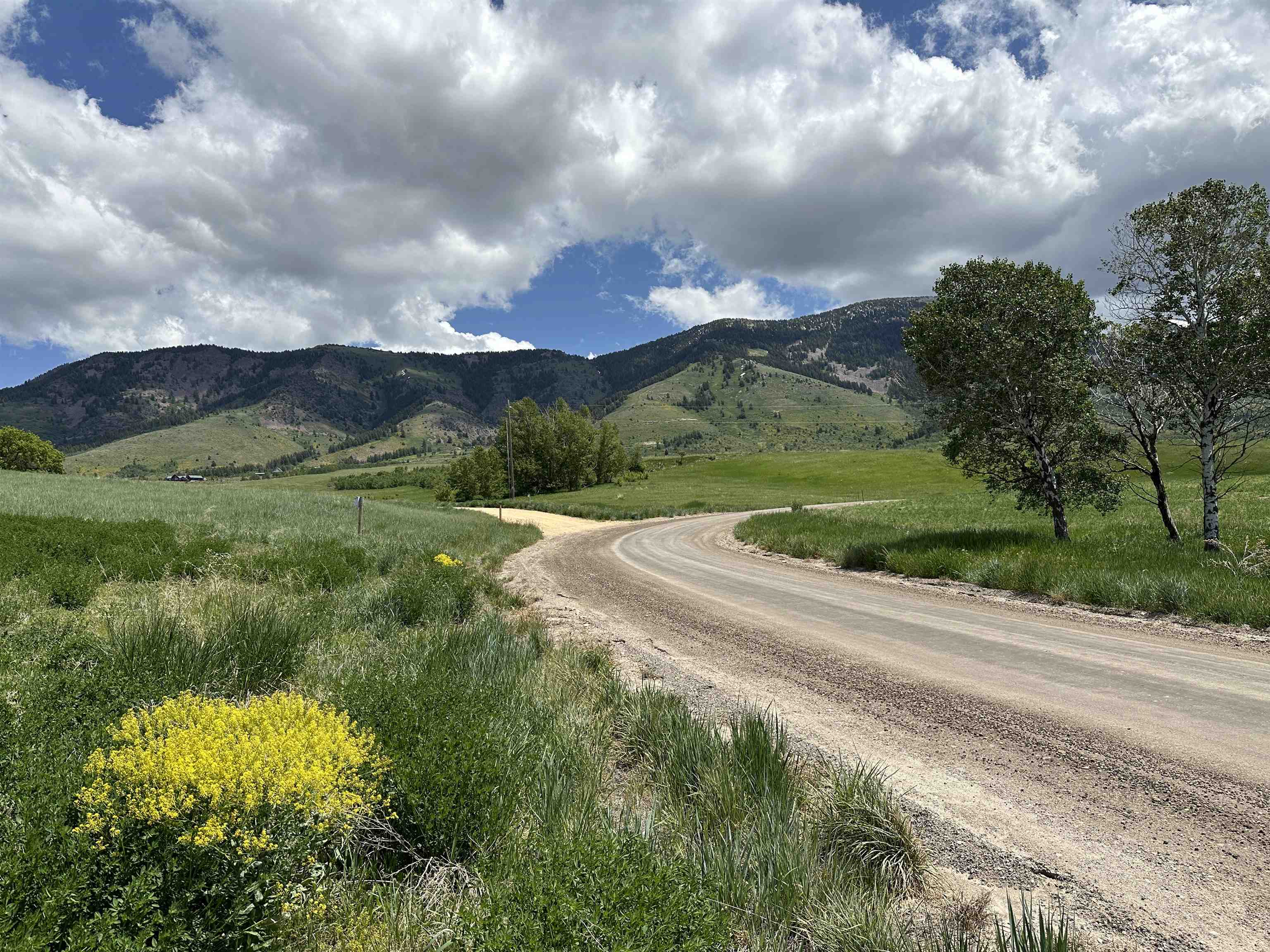 LOT 2 Bonneville Road, Inkom, Idaho image 4
