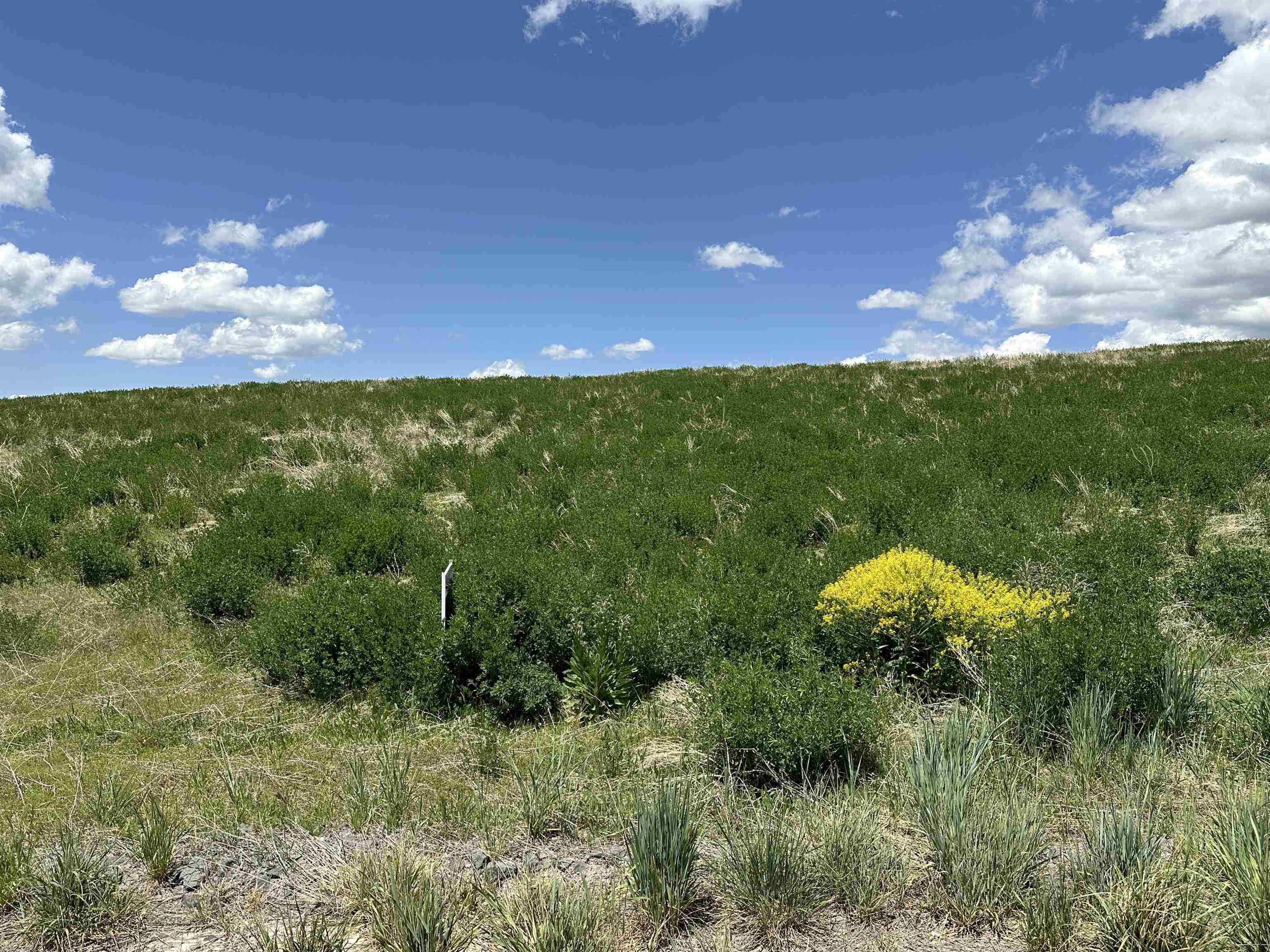 LOT 2 Bonneville Road, Inkom, Idaho image 5