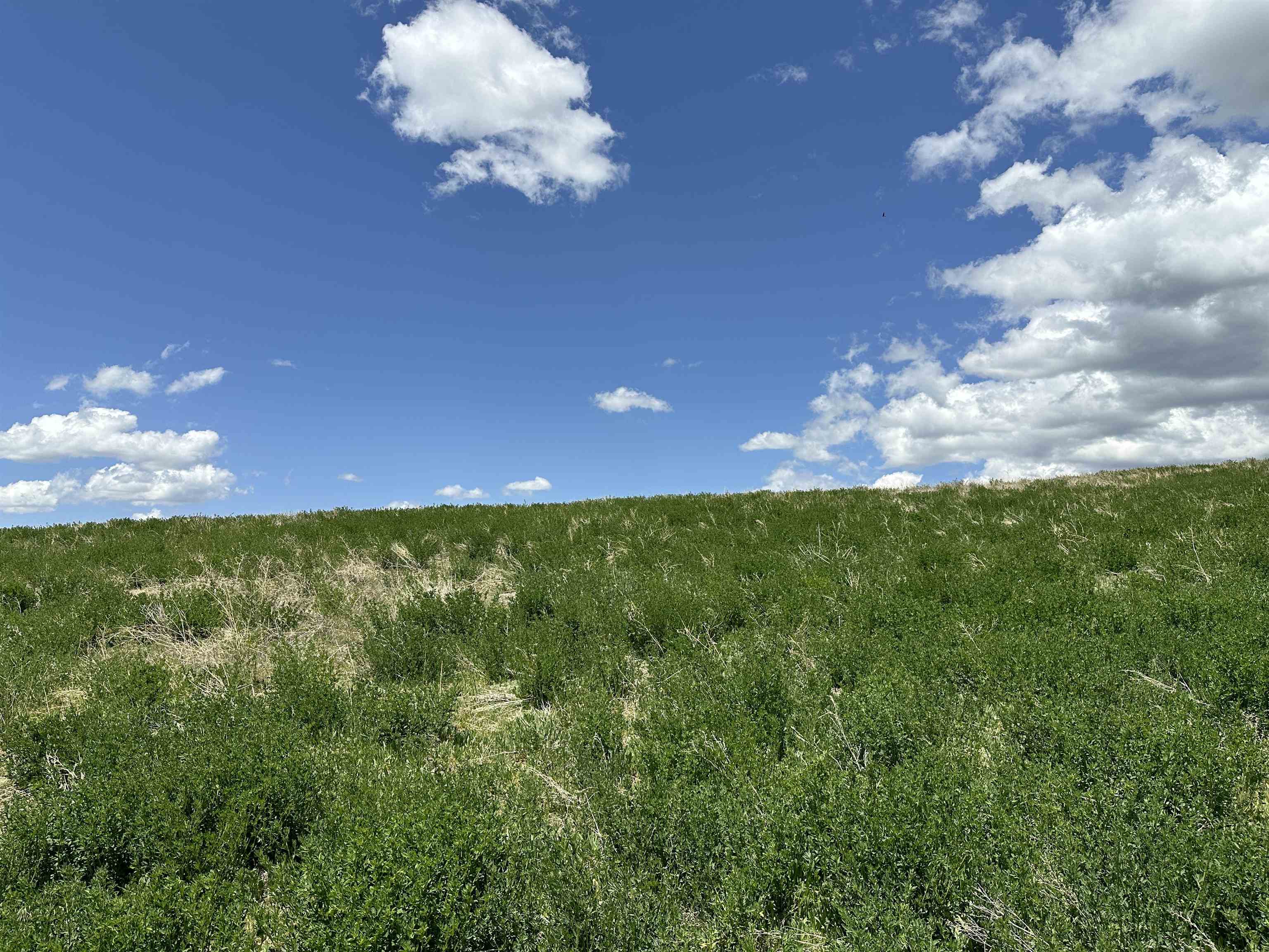 LOT 2 Bonneville Road, Inkom, Idaho image 6