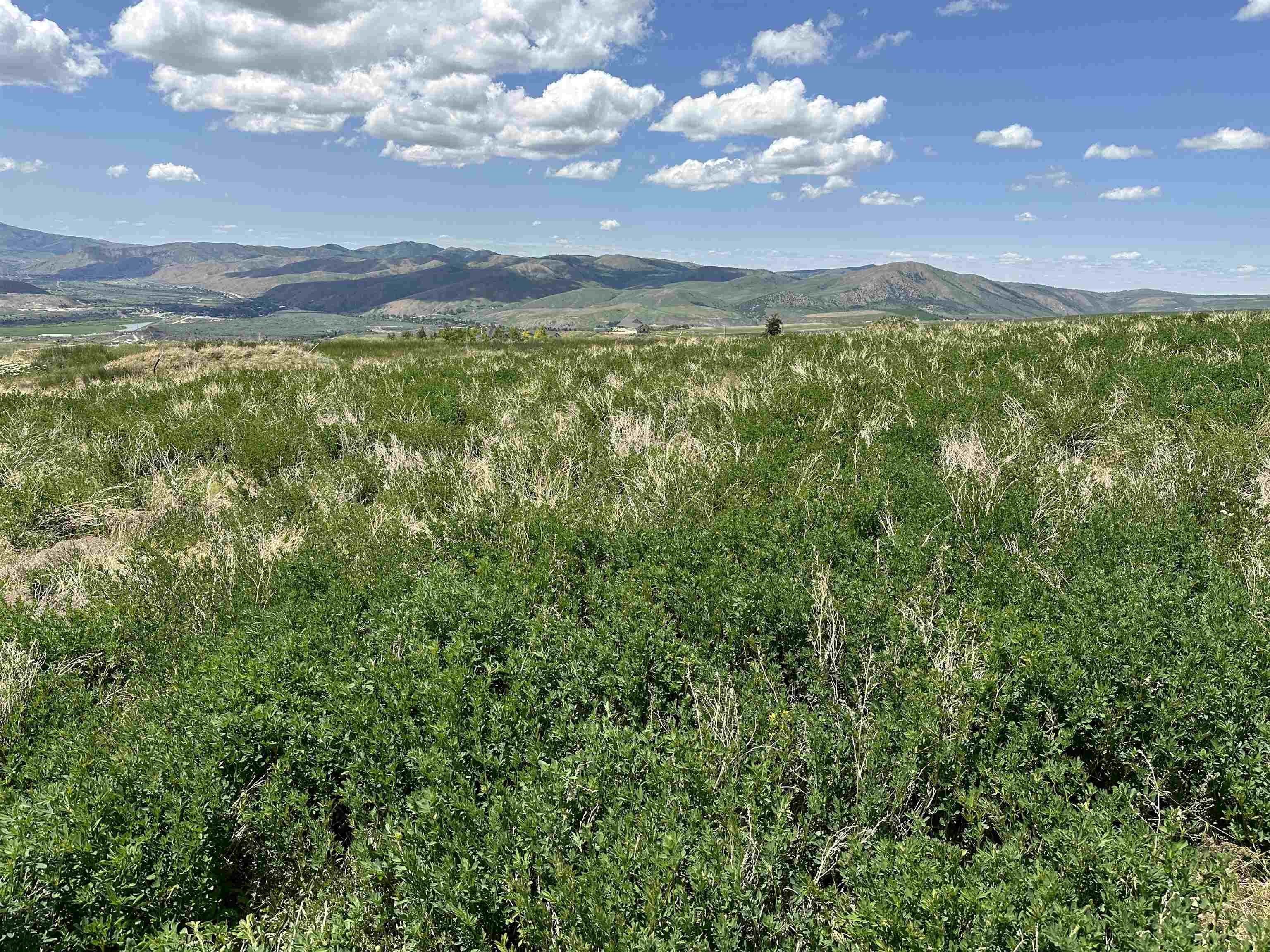 LOT 2 Bonneville Road, Inkom, Idaho image 11