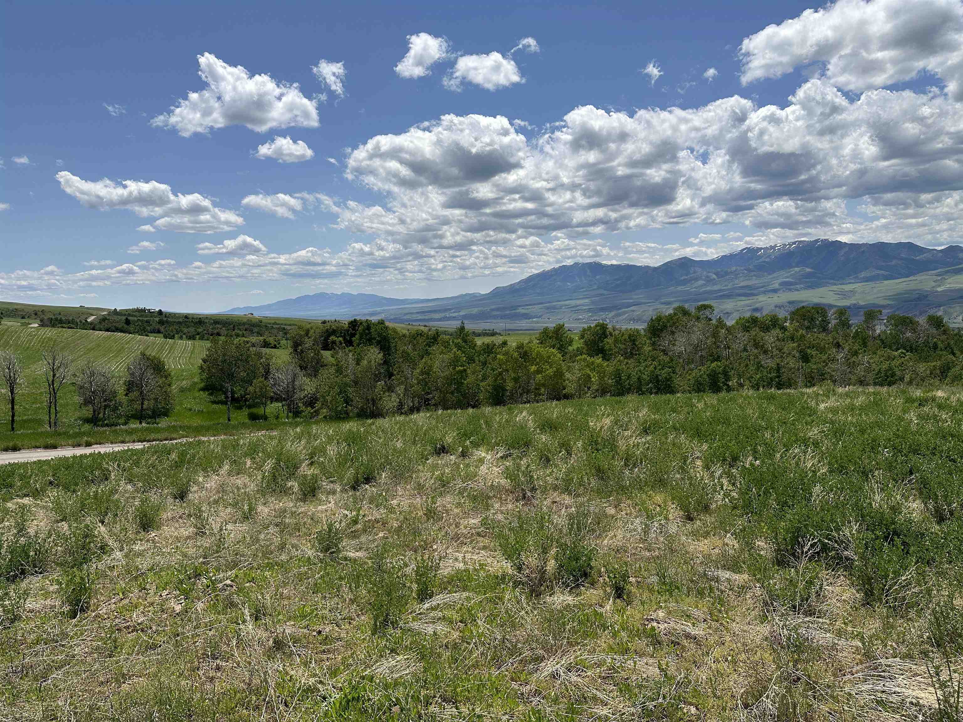 LOT 2 Bonneville Road, Inkom, Idaho image 12