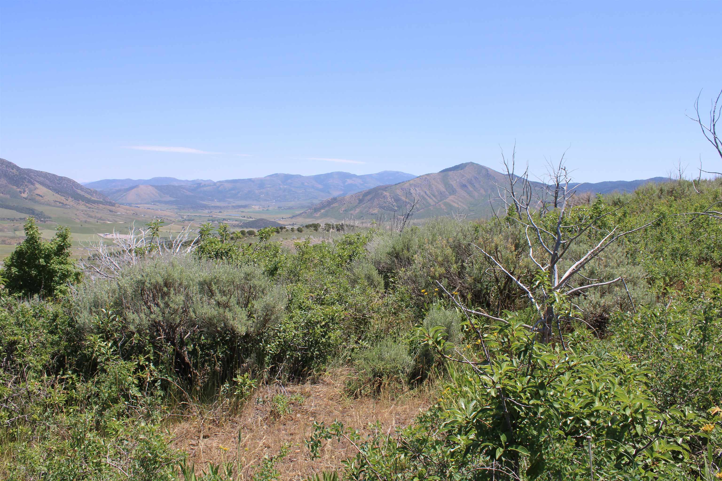 8101 Crystal Springs Road, McCammon, Idaho image 32