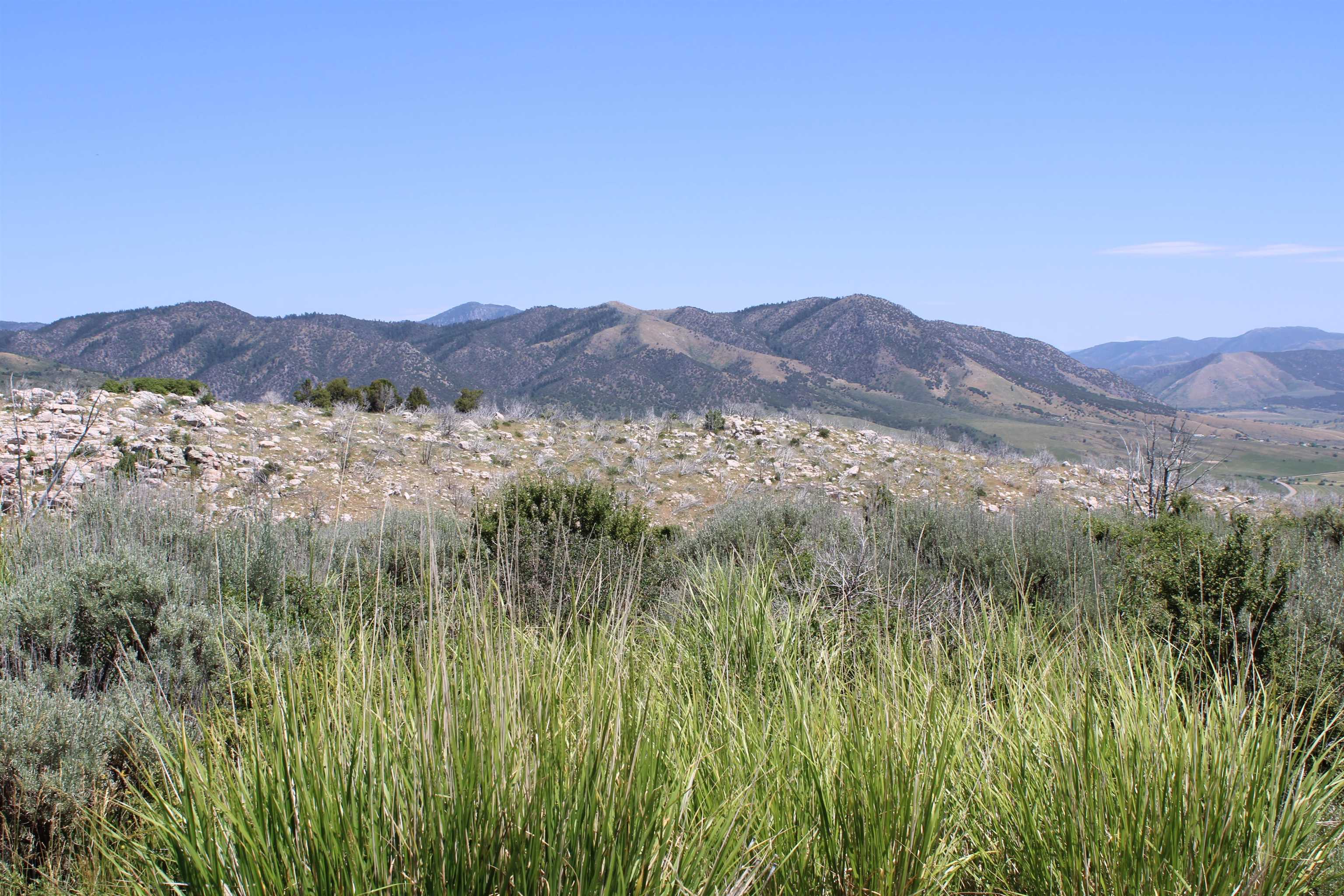 8101 Crystal Springs Road, McCammon, Idaho image 9