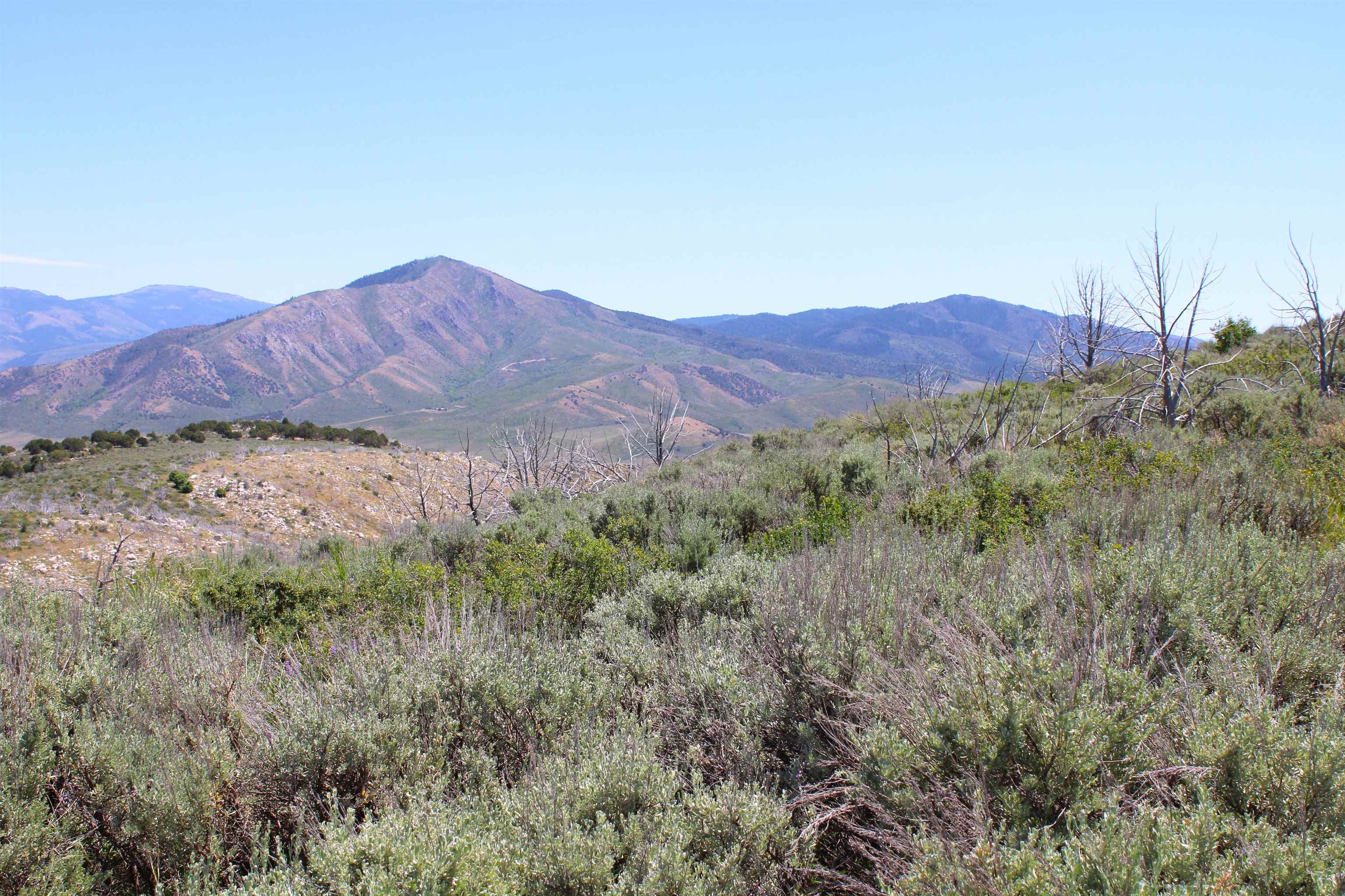 8101 Crystal Springs Road, McCammon, Idaho image 1