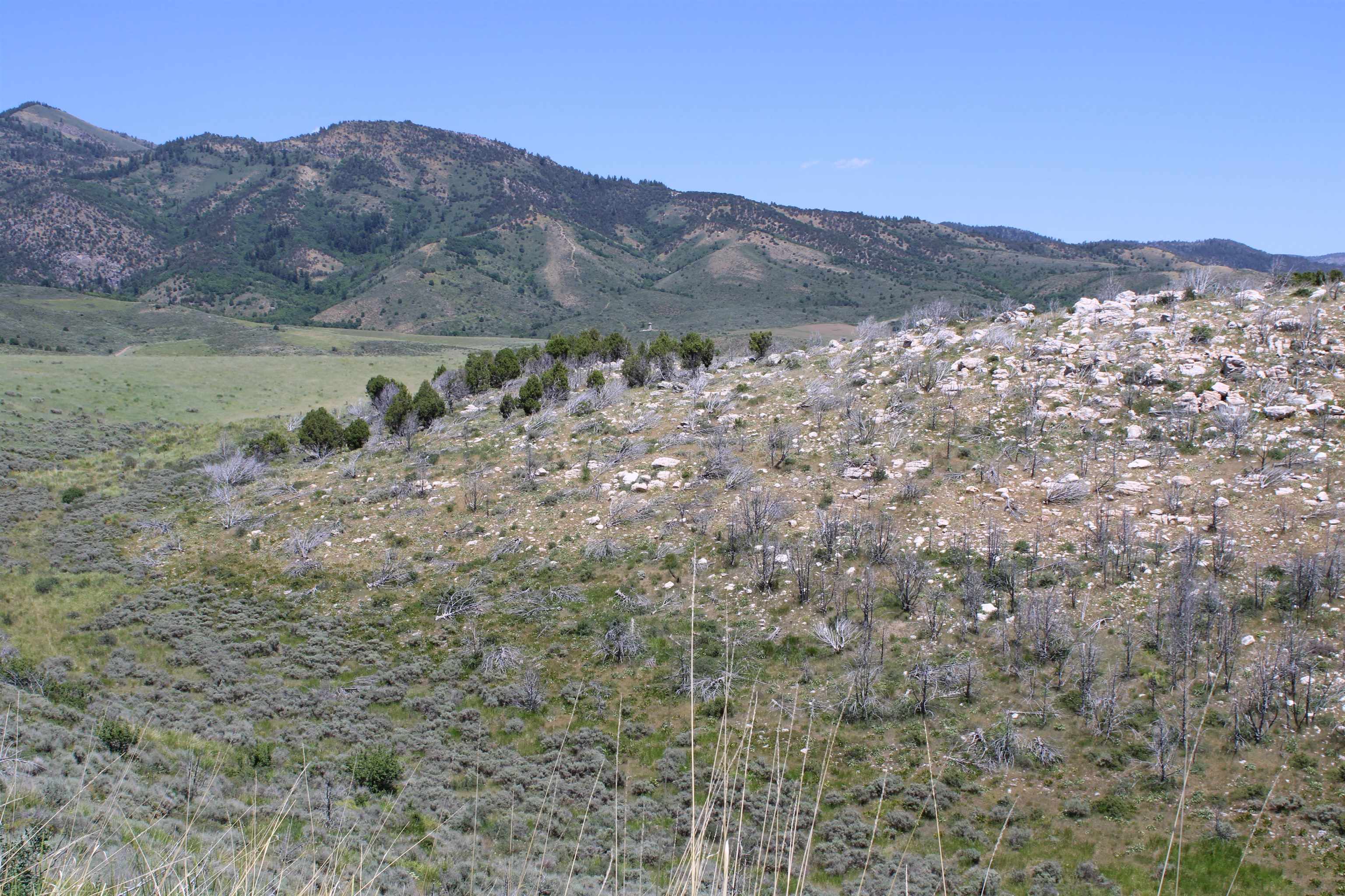 8101 Crystal Springs Road, McCammon, Idaho image 13