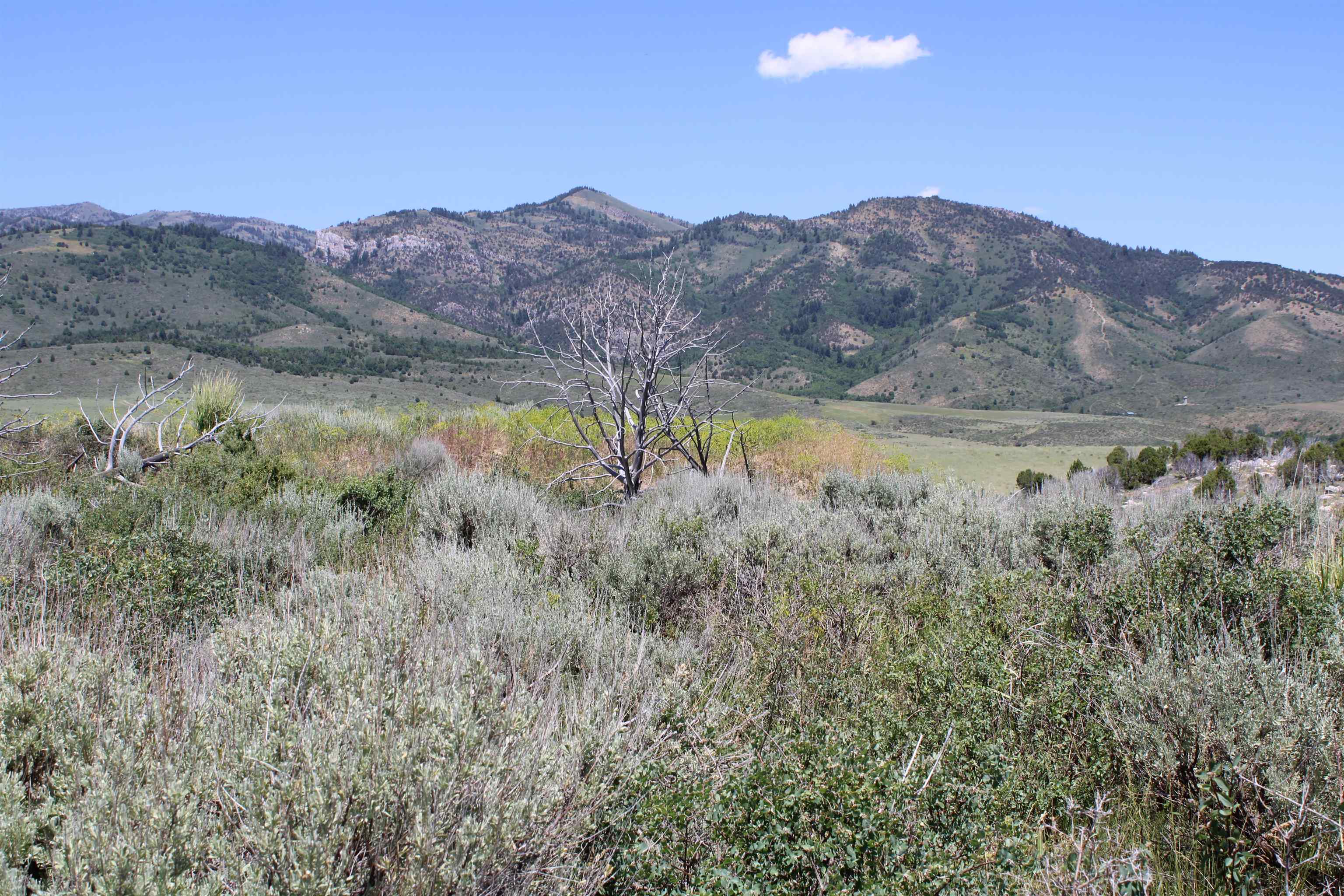 8101 Crystal Springs Road, McCammon, Idaho image 3