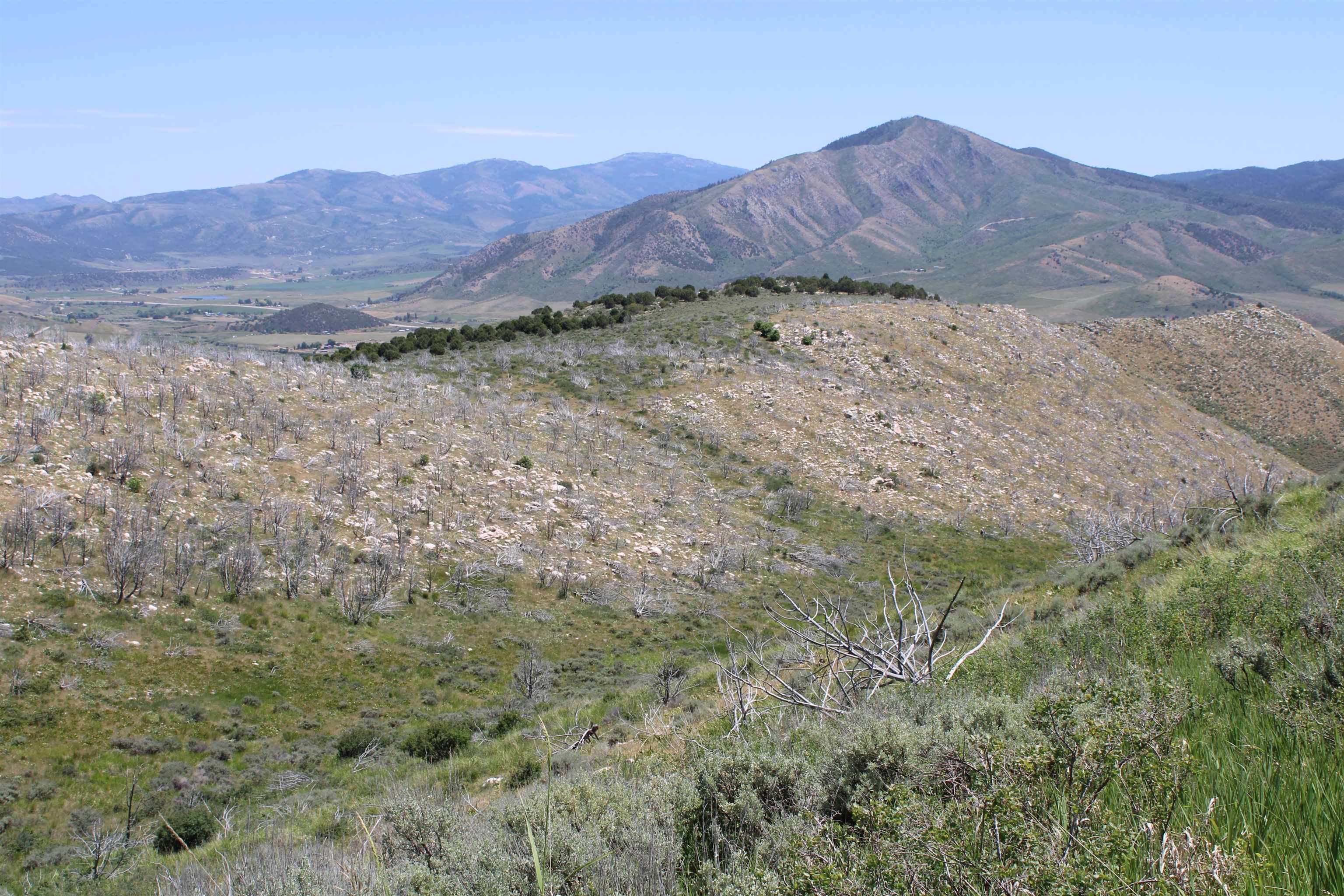 8101 Crystal Springs Road, McCammon, Idaho image 12