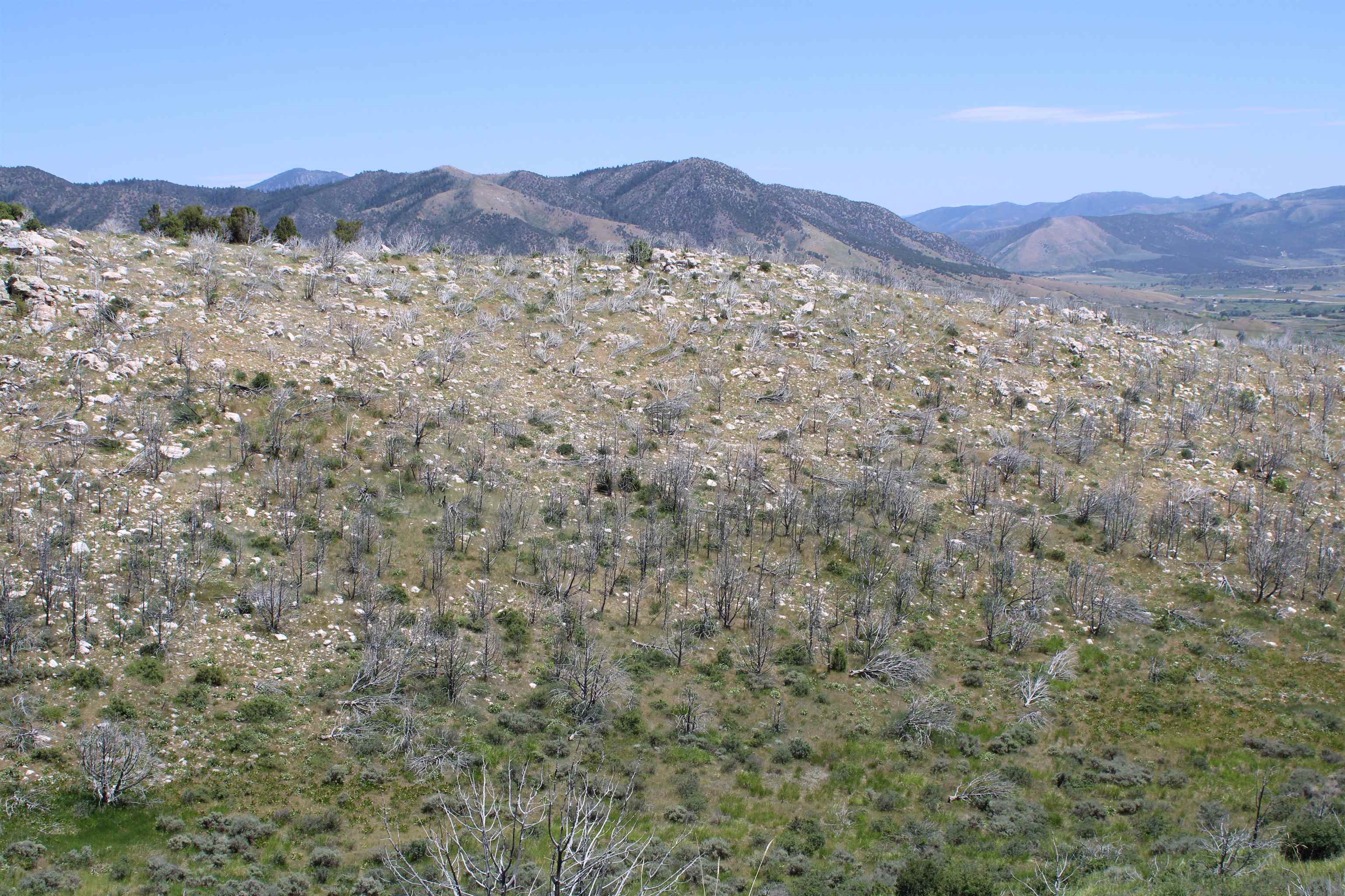 8101 Crystal Springs Road, McCammon, Idaho image 14