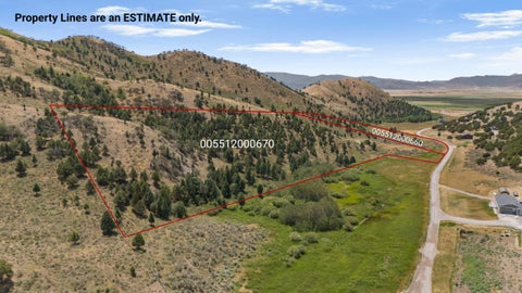 Vacant Land For Sale - TBD Swenson Rd<br/> Bancroft, ID 83217