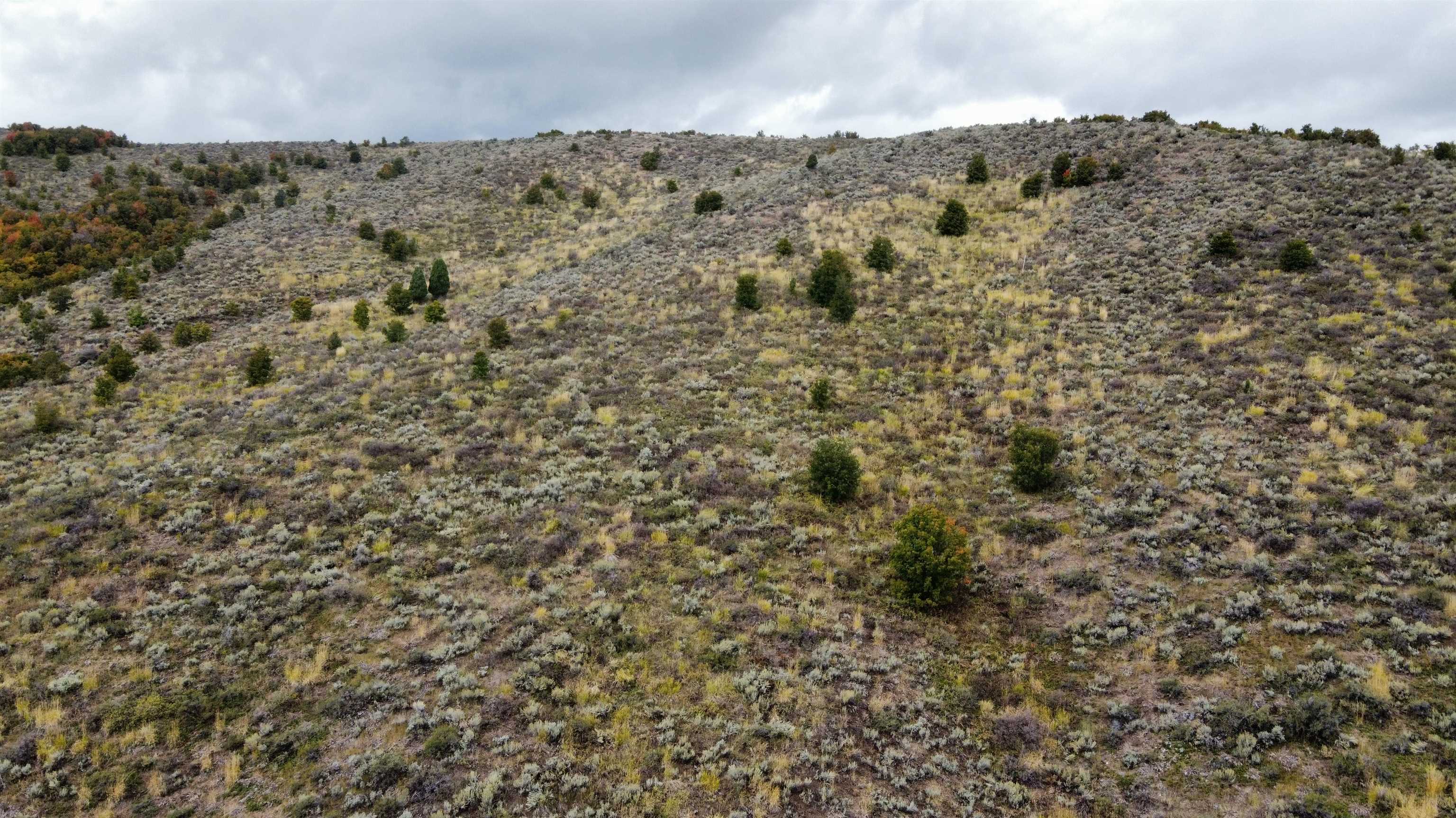 Lot 9 Whispering Pines, Pocatello, Idaho image 8