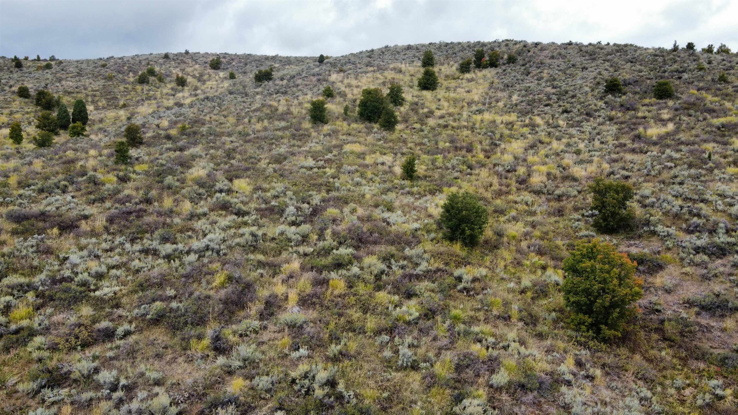 Lot 9 Whispering Pines, Pocatello, Idaho image 10