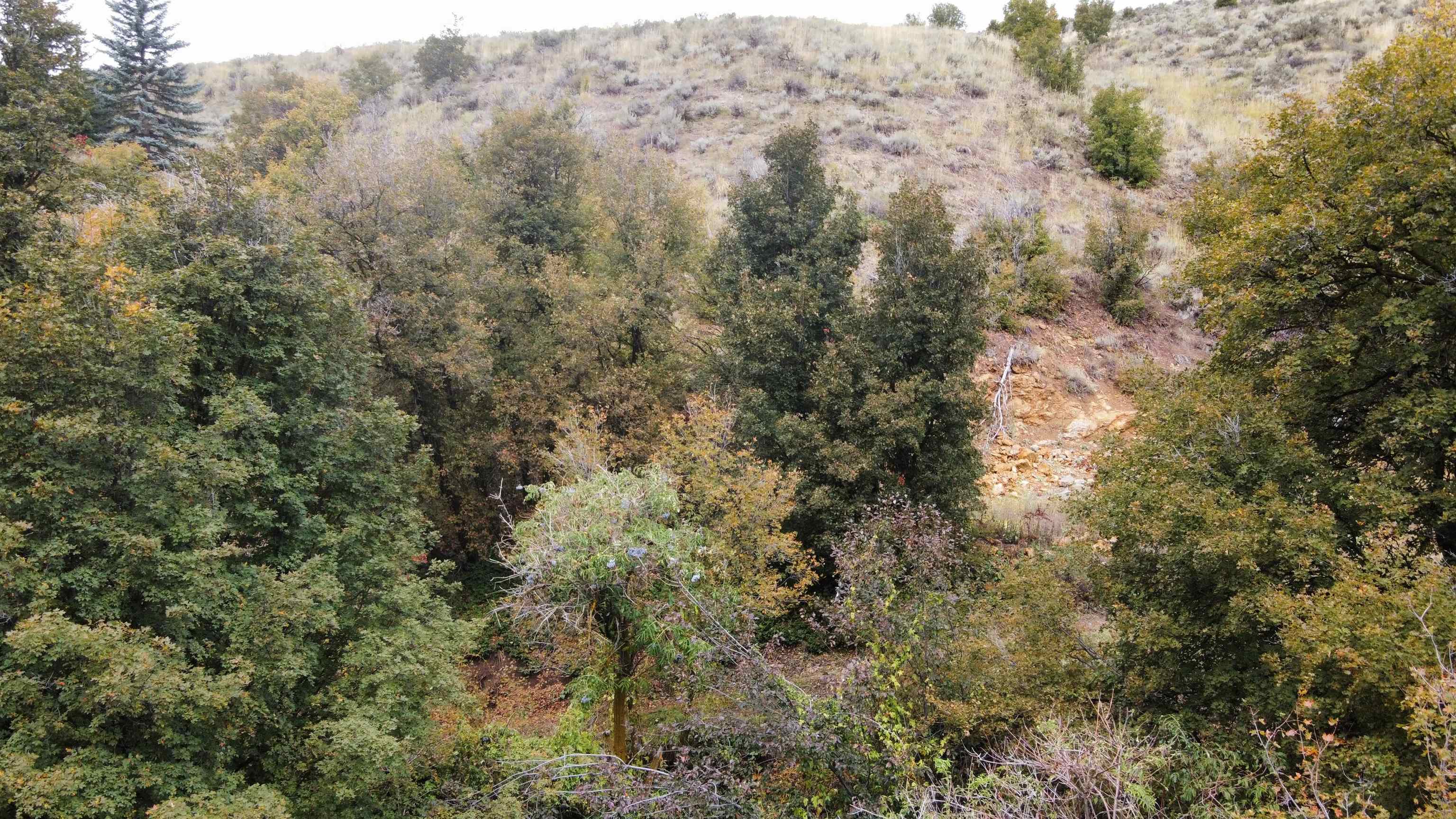 Lot 9 Whispering Pines, Pocatello, Idaho image 7