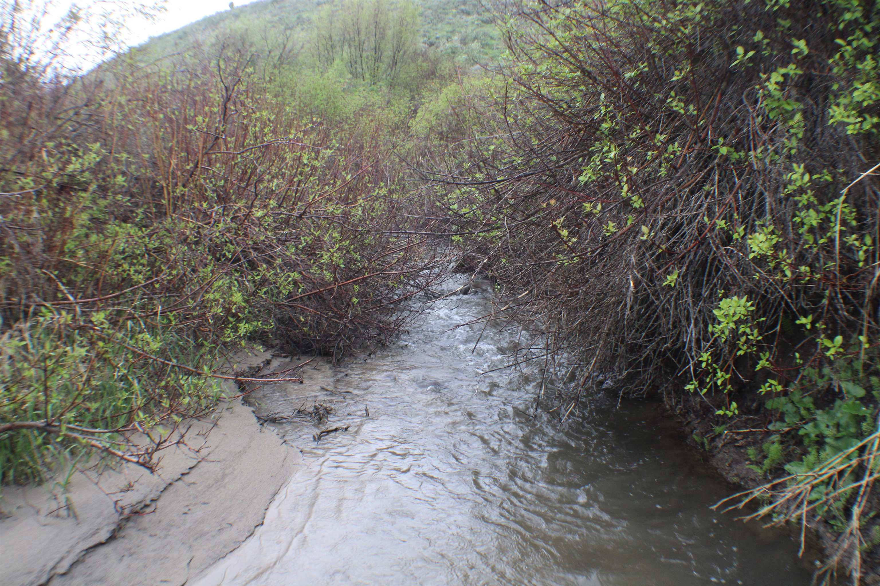 000 24 Mile Rd, Bancroft, Idaho image 1