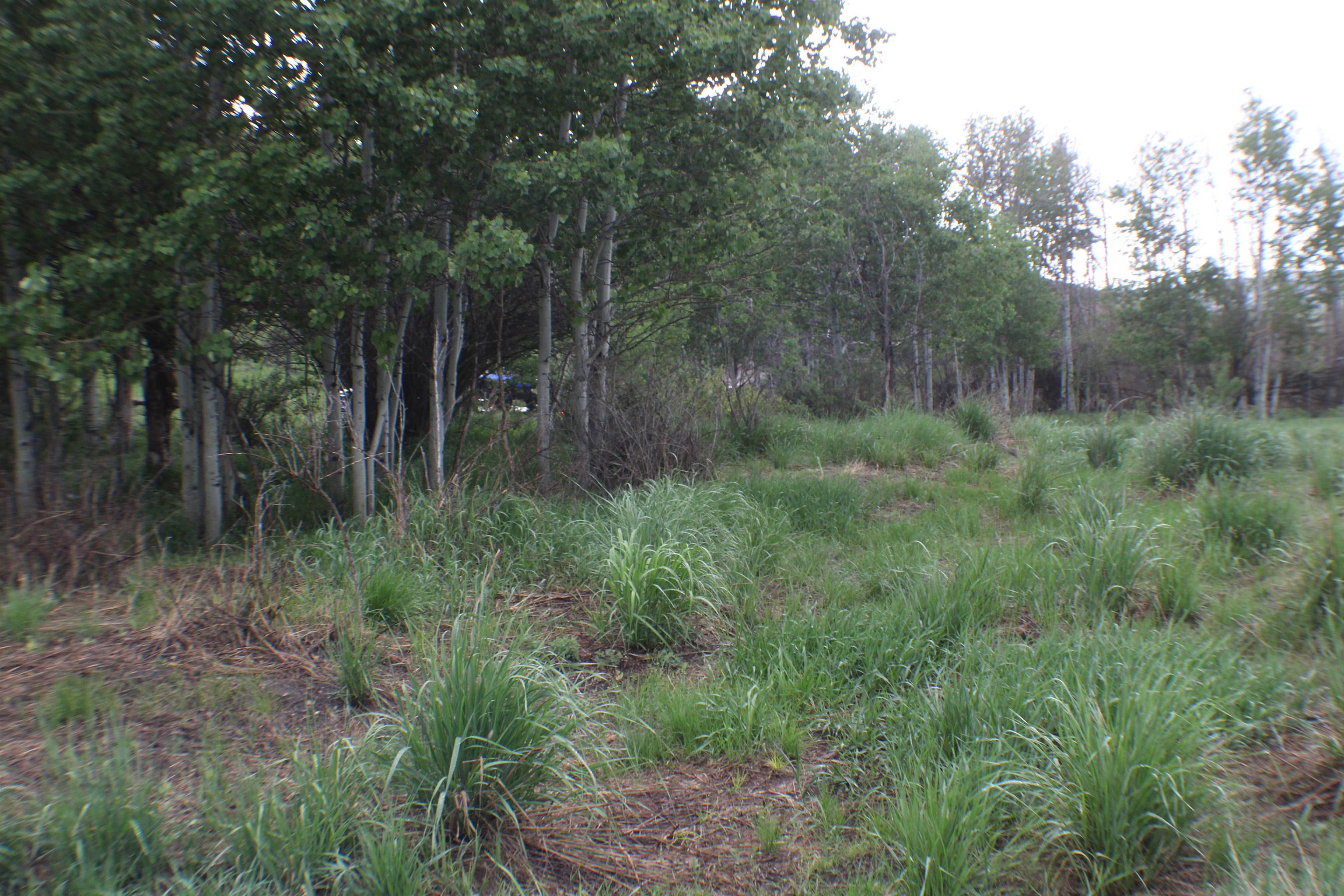 000 24 Mile Rd, Bancroft, Idaho image 6