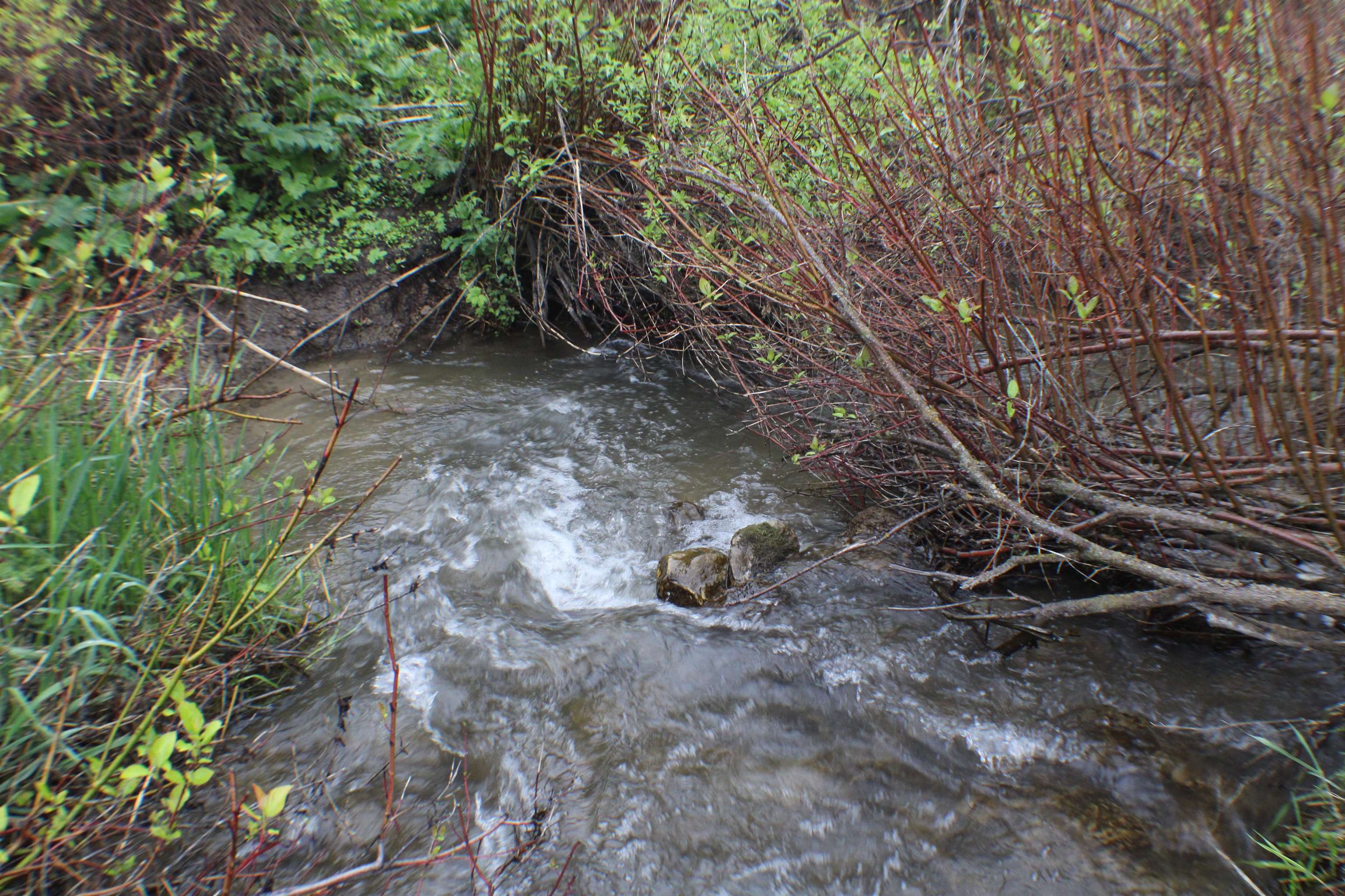 000 24 Mile Rd, Bancroft, Idaho image 13