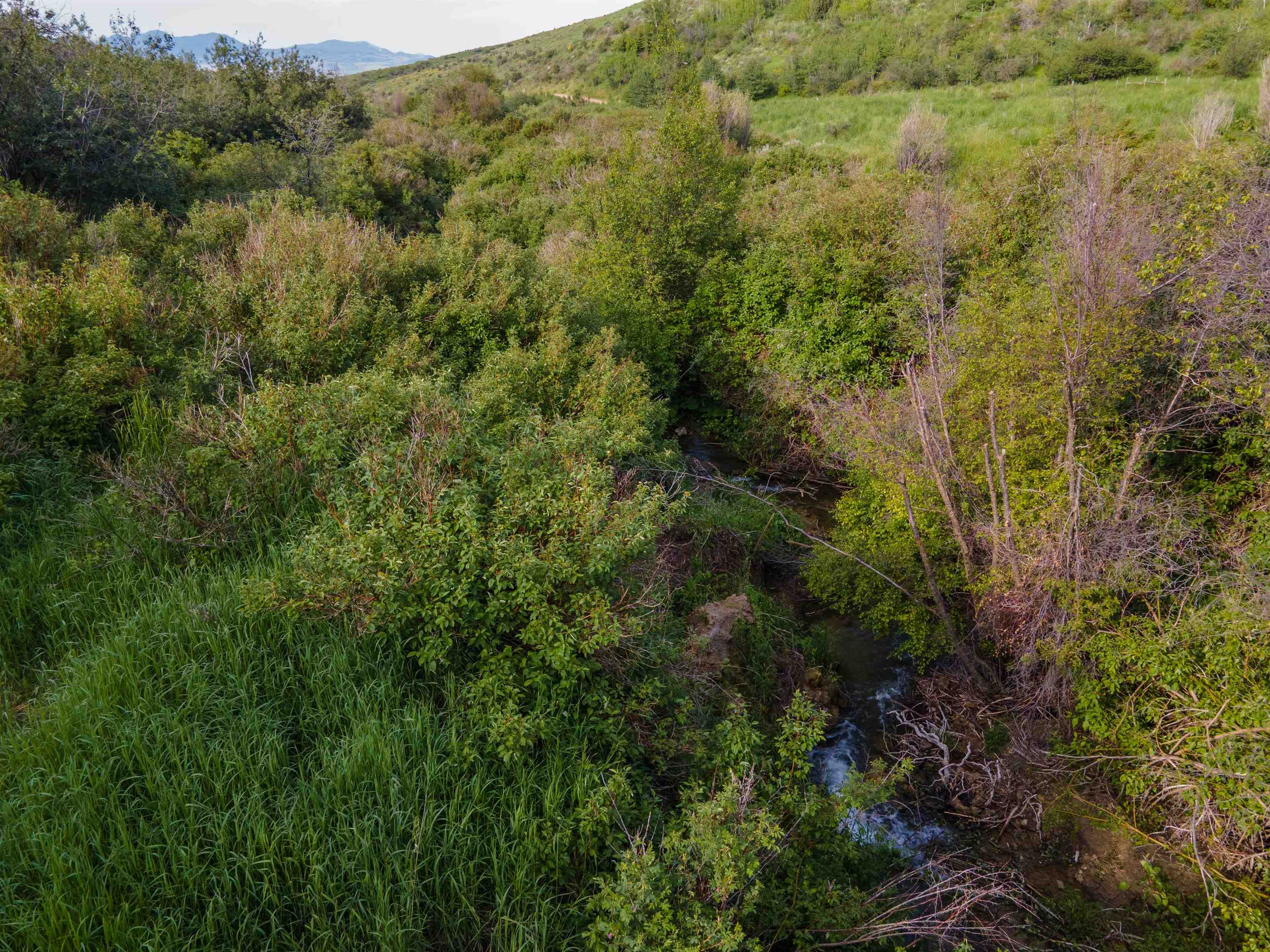 000 24 Mile Rd, Bancroft, Idaho image 15