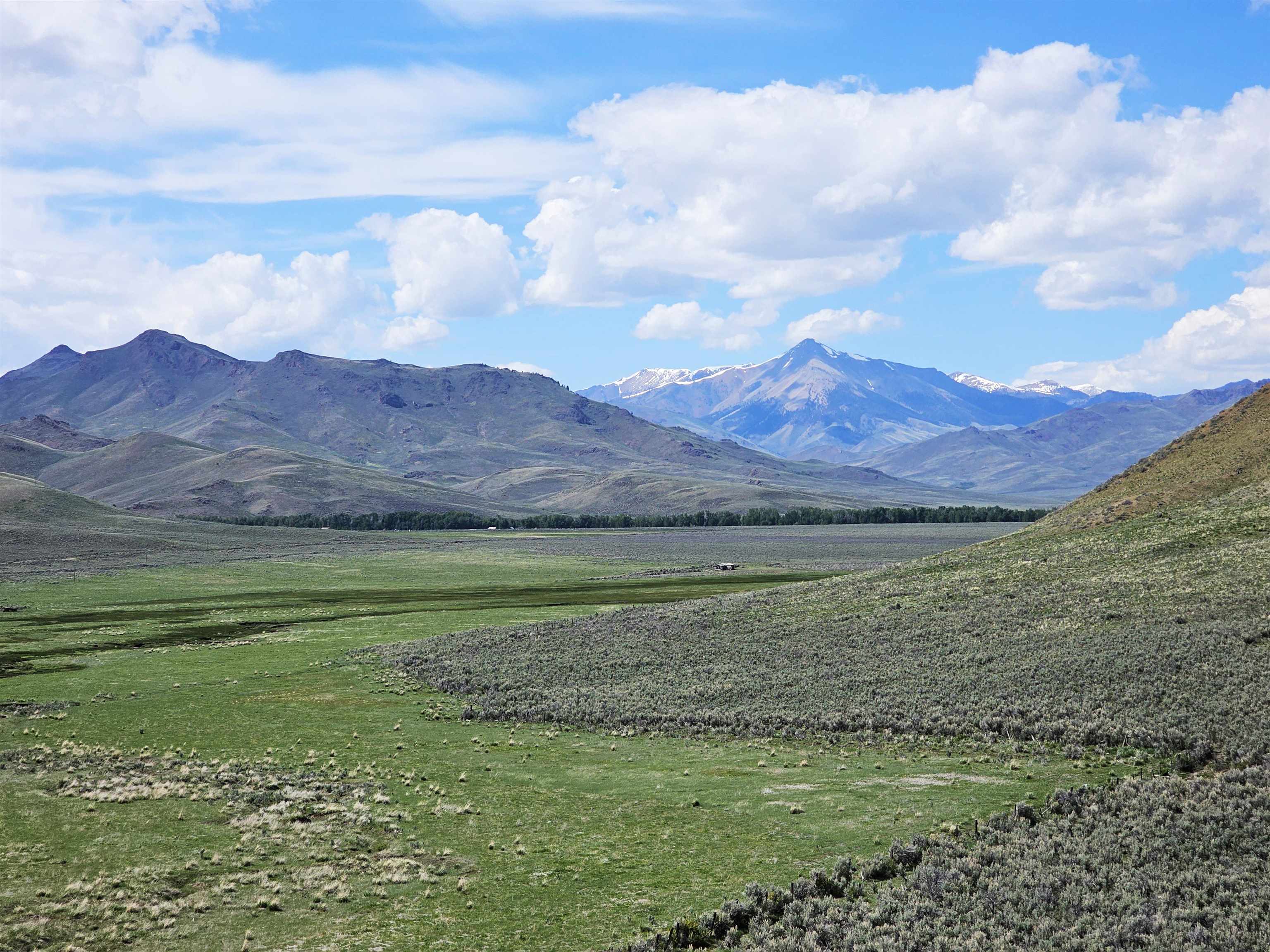 Lot 10 Dry Fork Rd, Moore, Idaho image 20