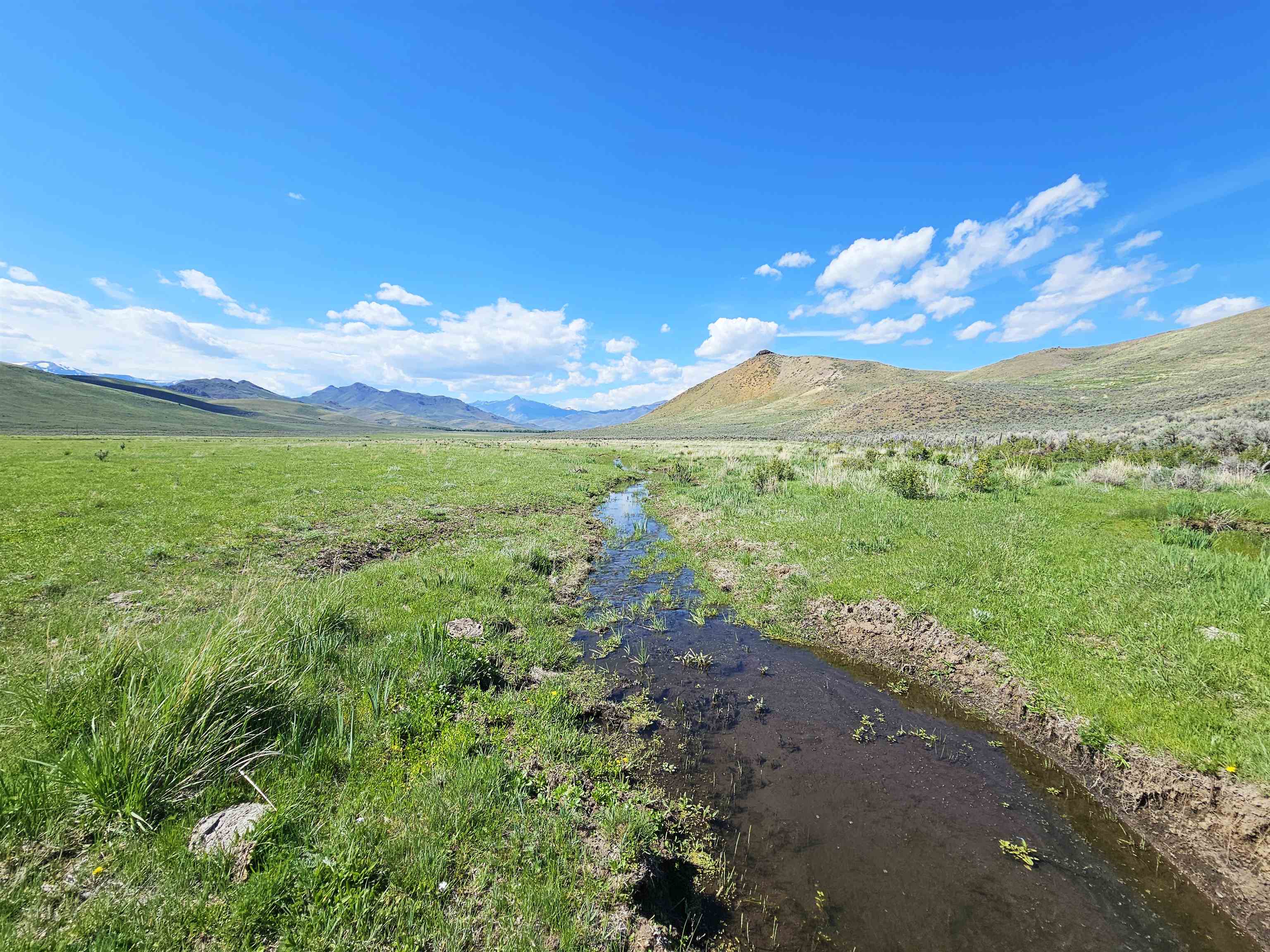 Lot 10 Dry Fork Rd, Moore, Idaho image 9