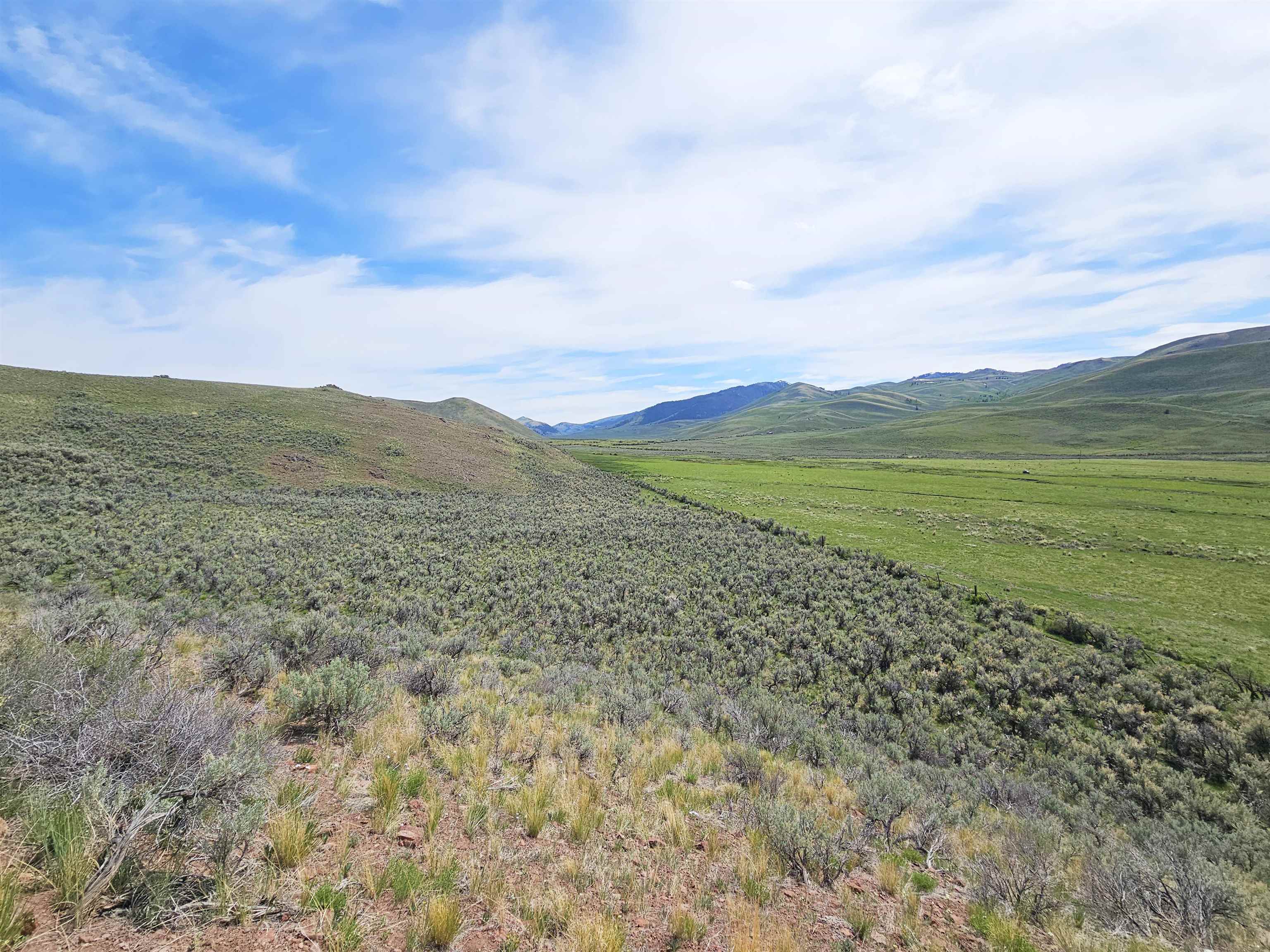 Lot 10 Dry Fork Rd, Moore, Idaho image 17